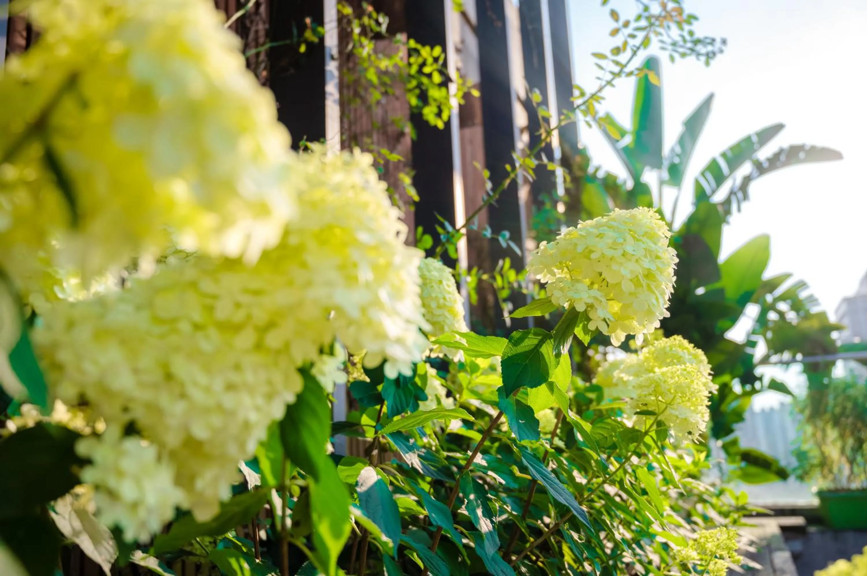 Restaurant/places to eat in Wuyu Hotel - Chongqing Jiangbei Airport & Light Rail