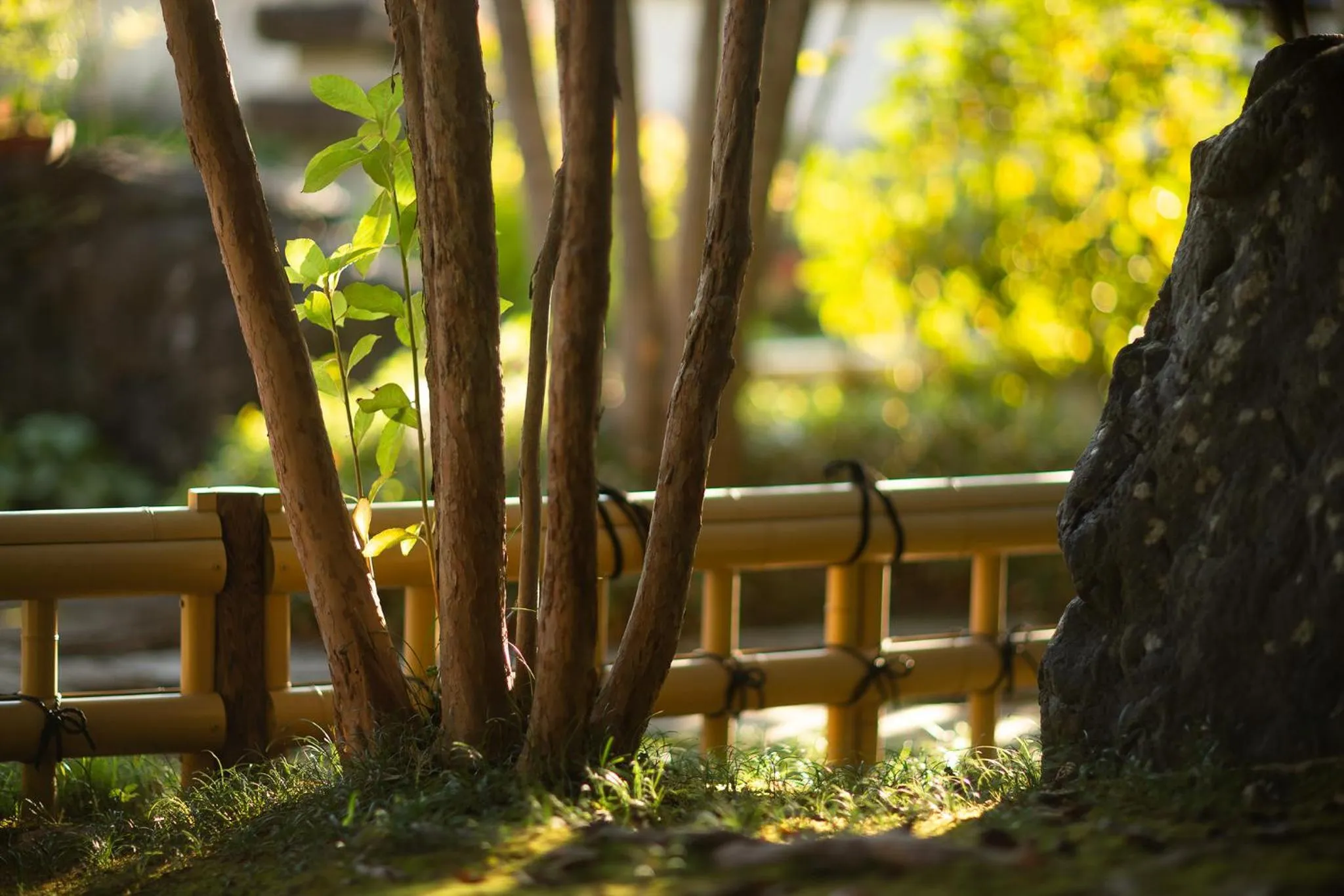 Day in Ryoutei Ryokan Yasui