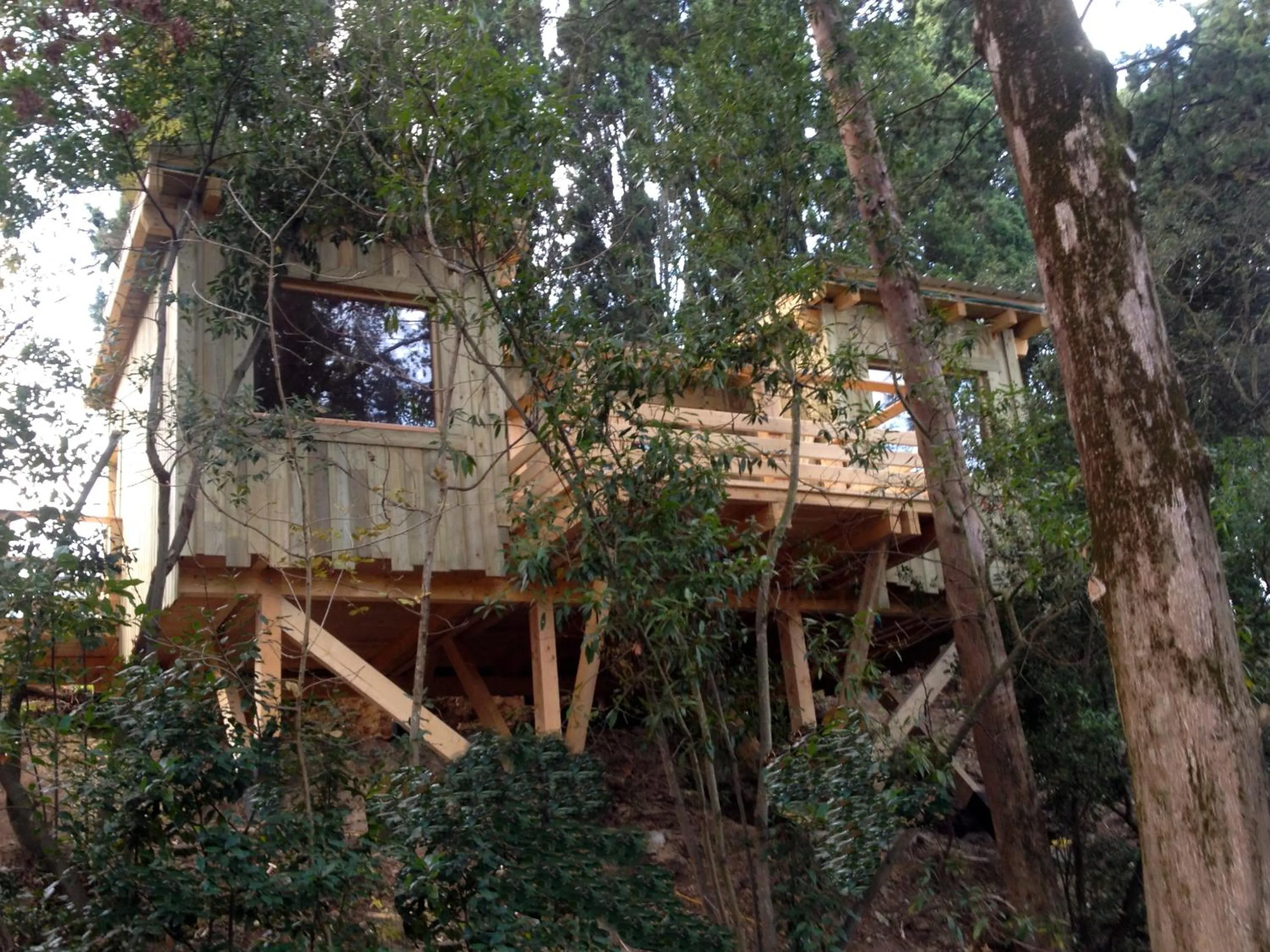 Photo of the whole room in Les Cabanes Dans Les Bois Logis Hôtel