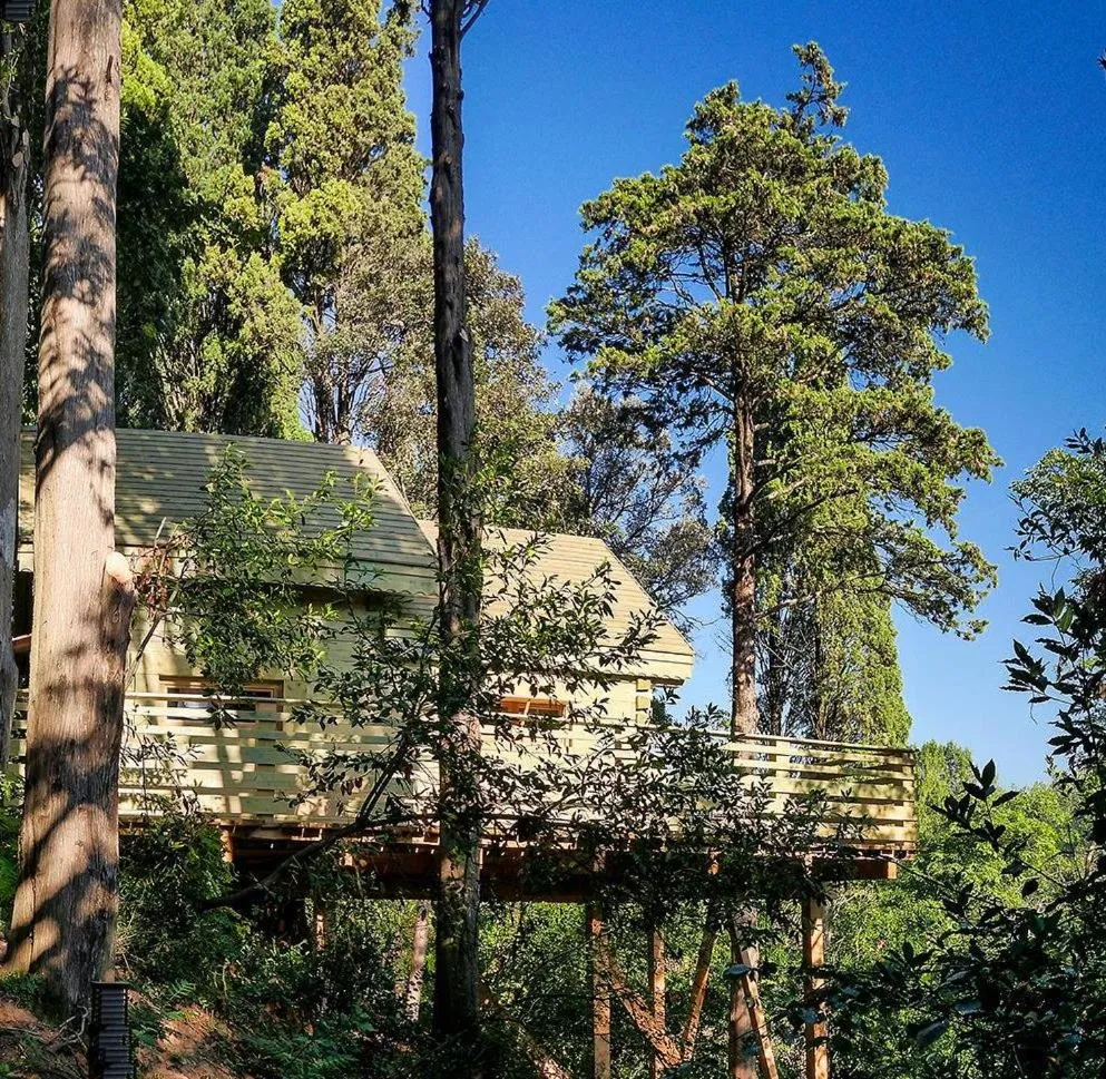 Balcony/Terrace in Les Cabanes Dans Les Bois Logis Hôtel
