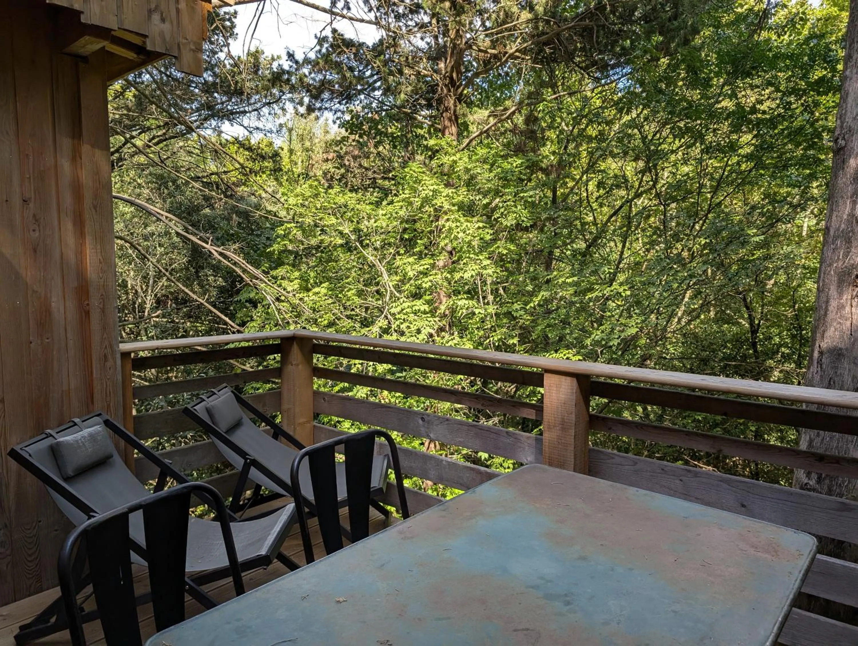 Balcony/Terrace in Les Cabanes Dans Les Bois Logis Hôtel