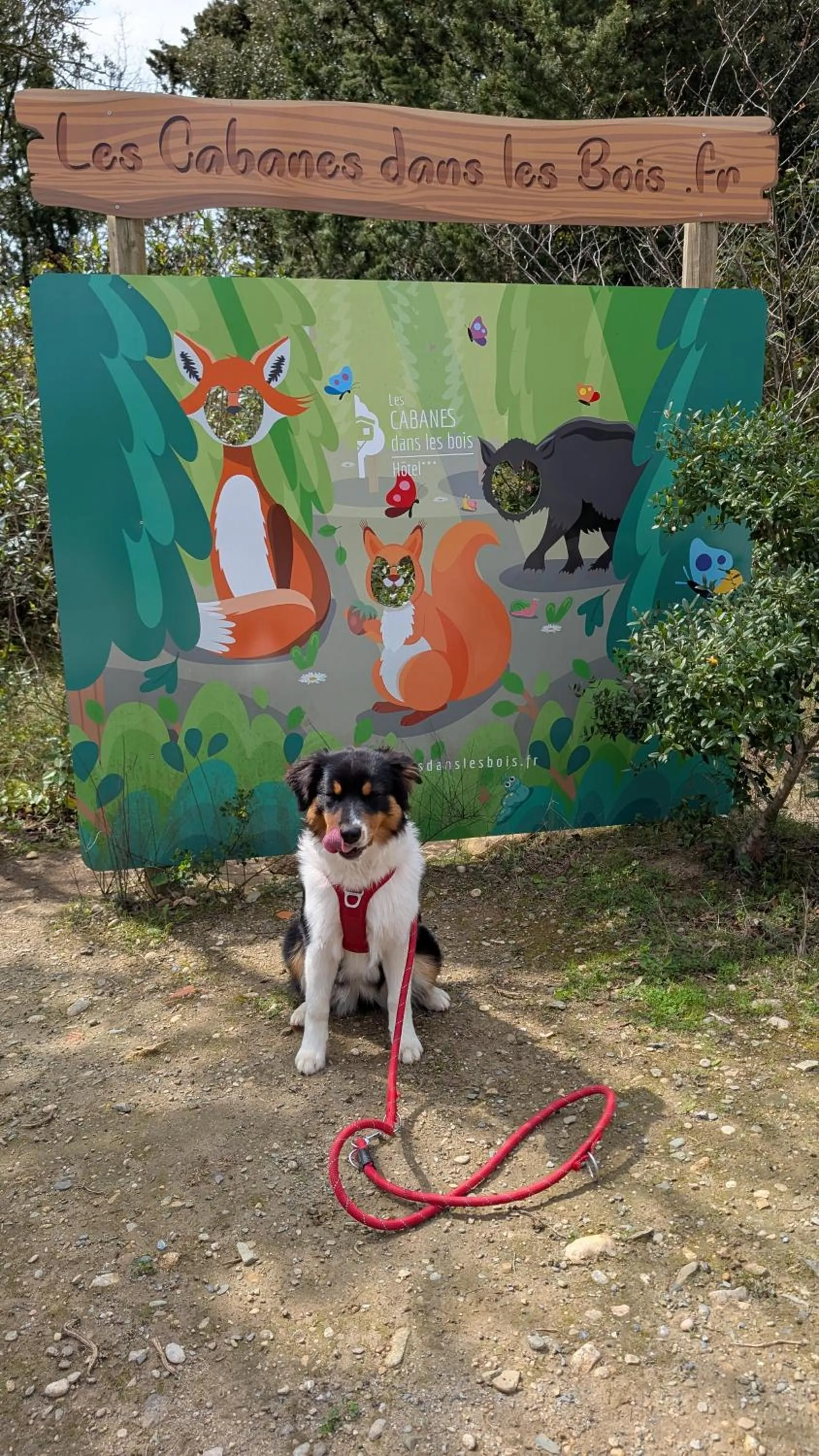 Pets in Les Cabanes Dans Les Bois Logis Hôtel