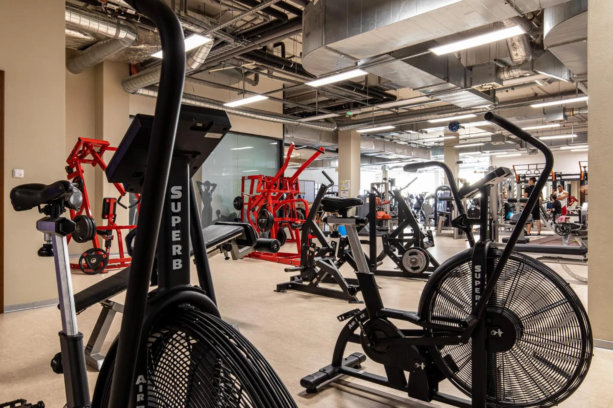 Fitness centre/facilities in Rezidence Fontána