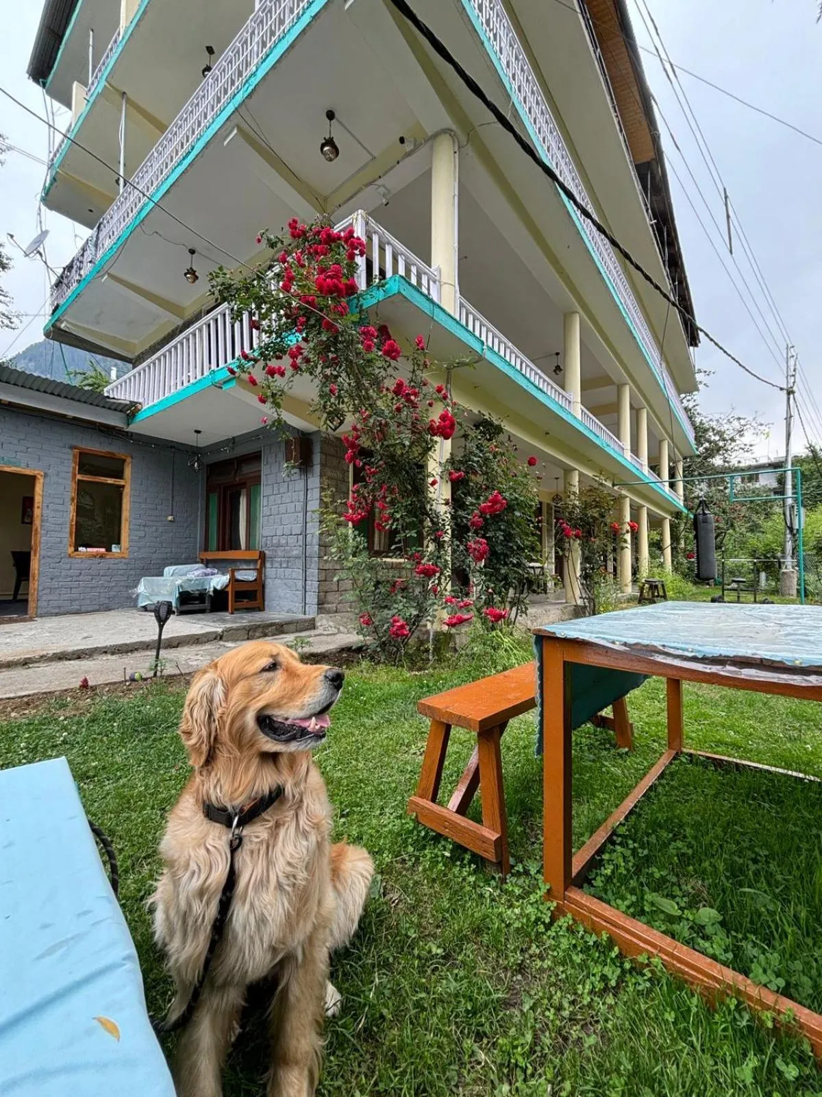 Property building in Beholden Stay And Cafe - A Luxury Boutique Hotel In Manali