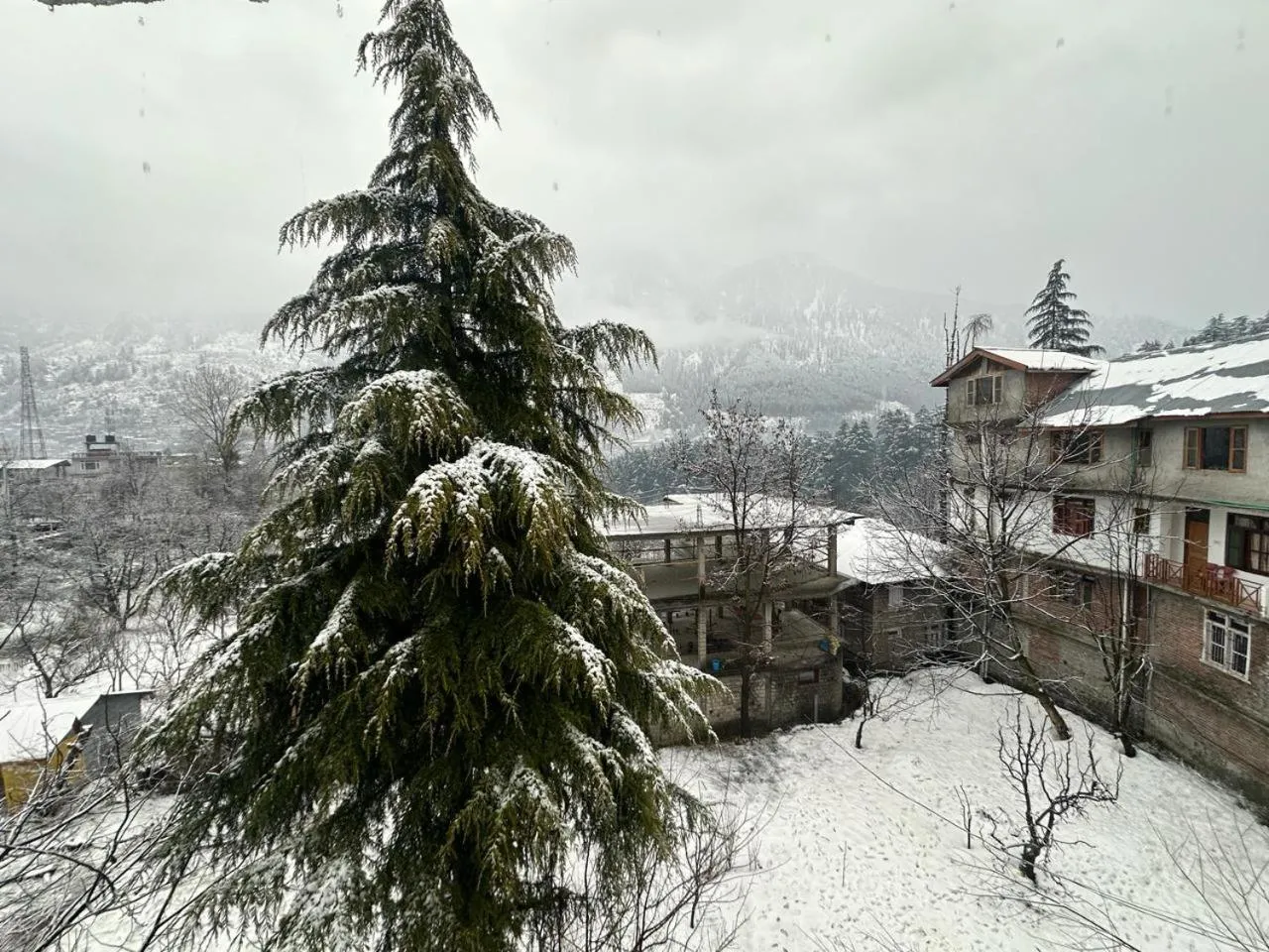 View (from property/room) in Beholden Stay And Cafe - A Luxury Boutique Hotel In Manali