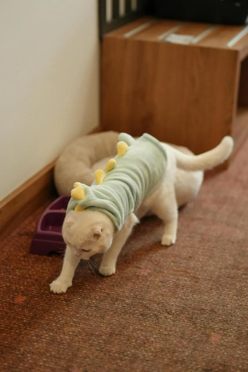 Pets in Ramada by Wyndham Karacabey