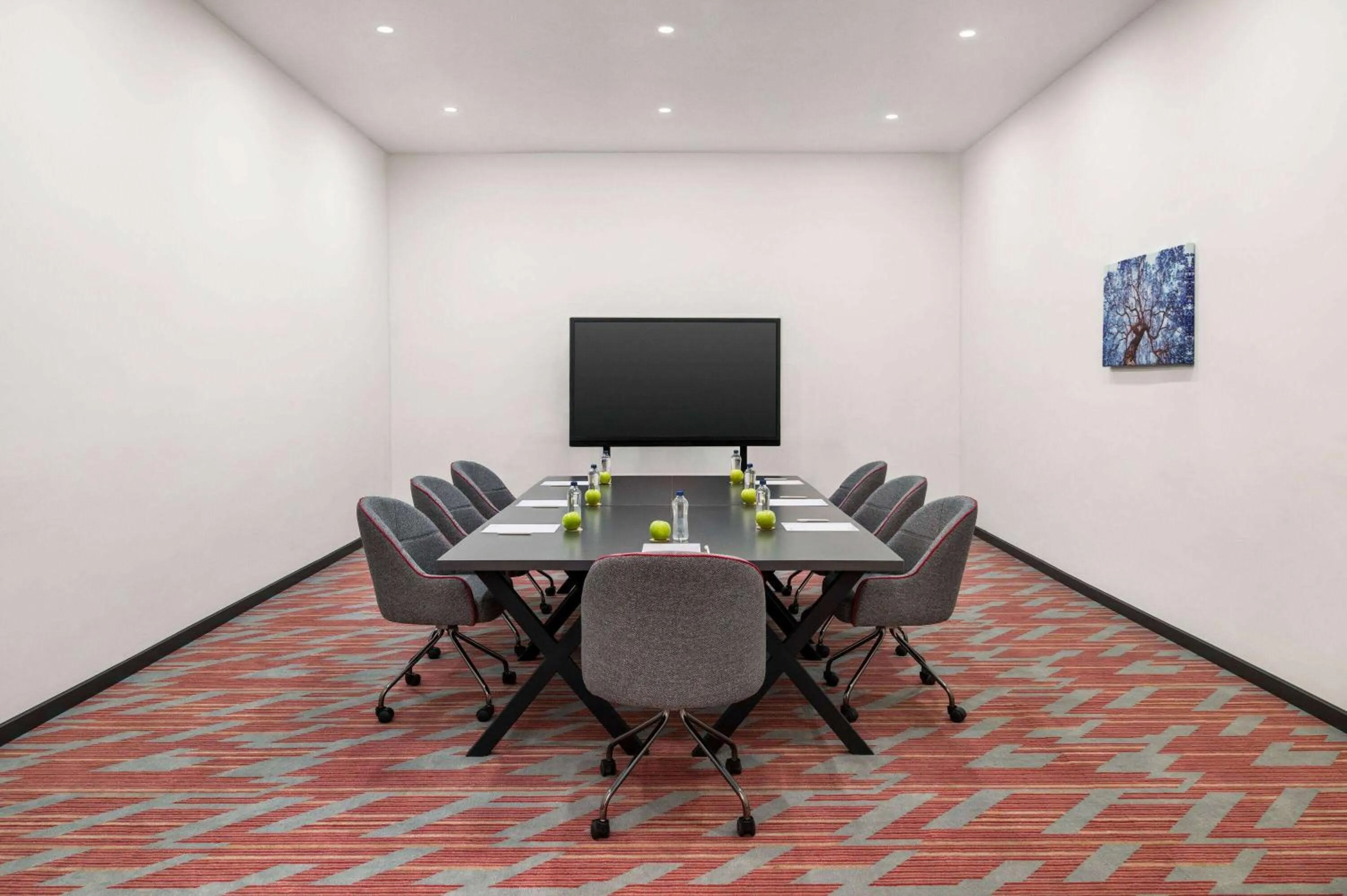 Meeting/conference room in Ramada by Wyndham Karacabey