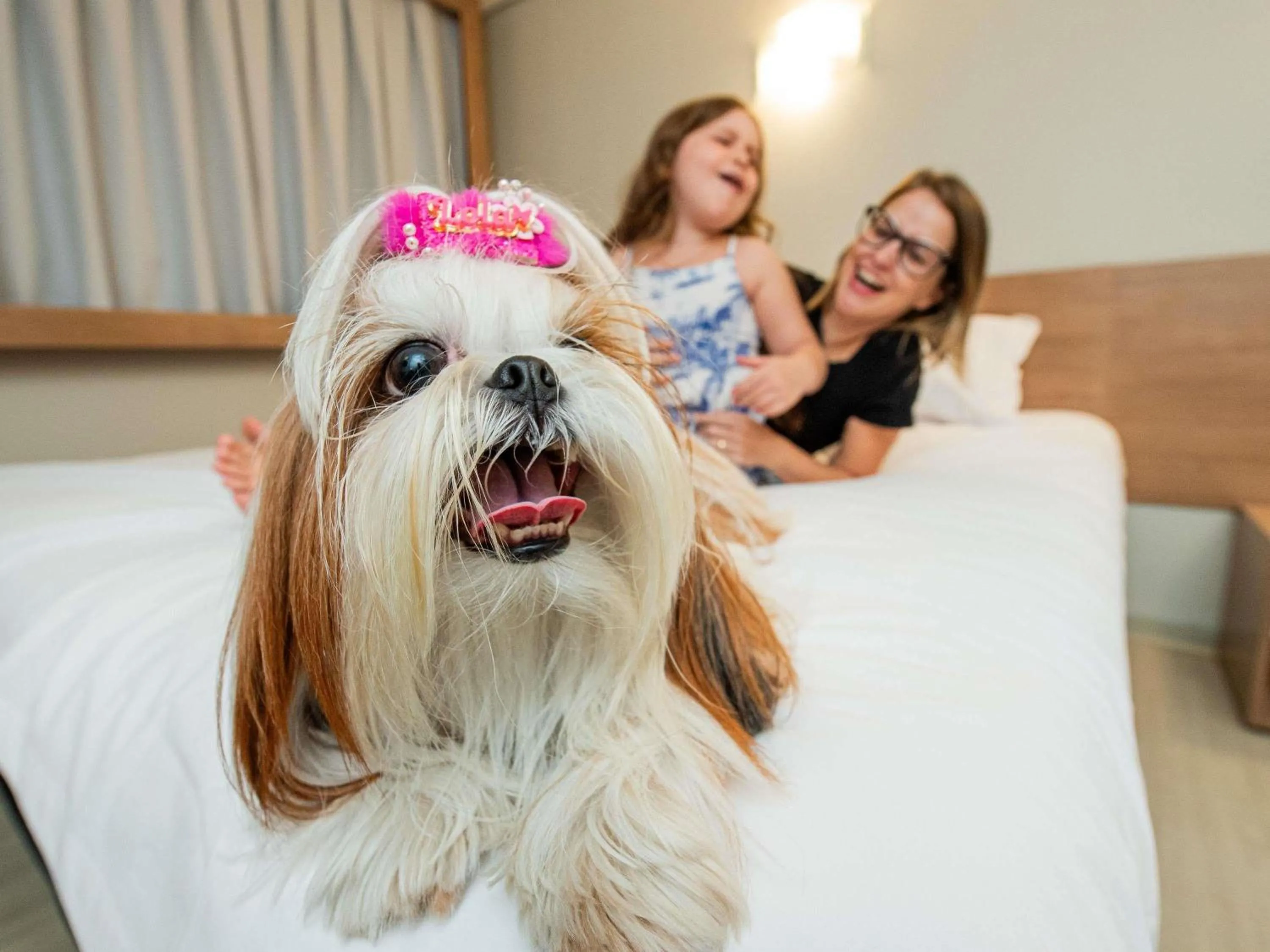 Bedroom in ibis Styles Goiânia Shopping Estação