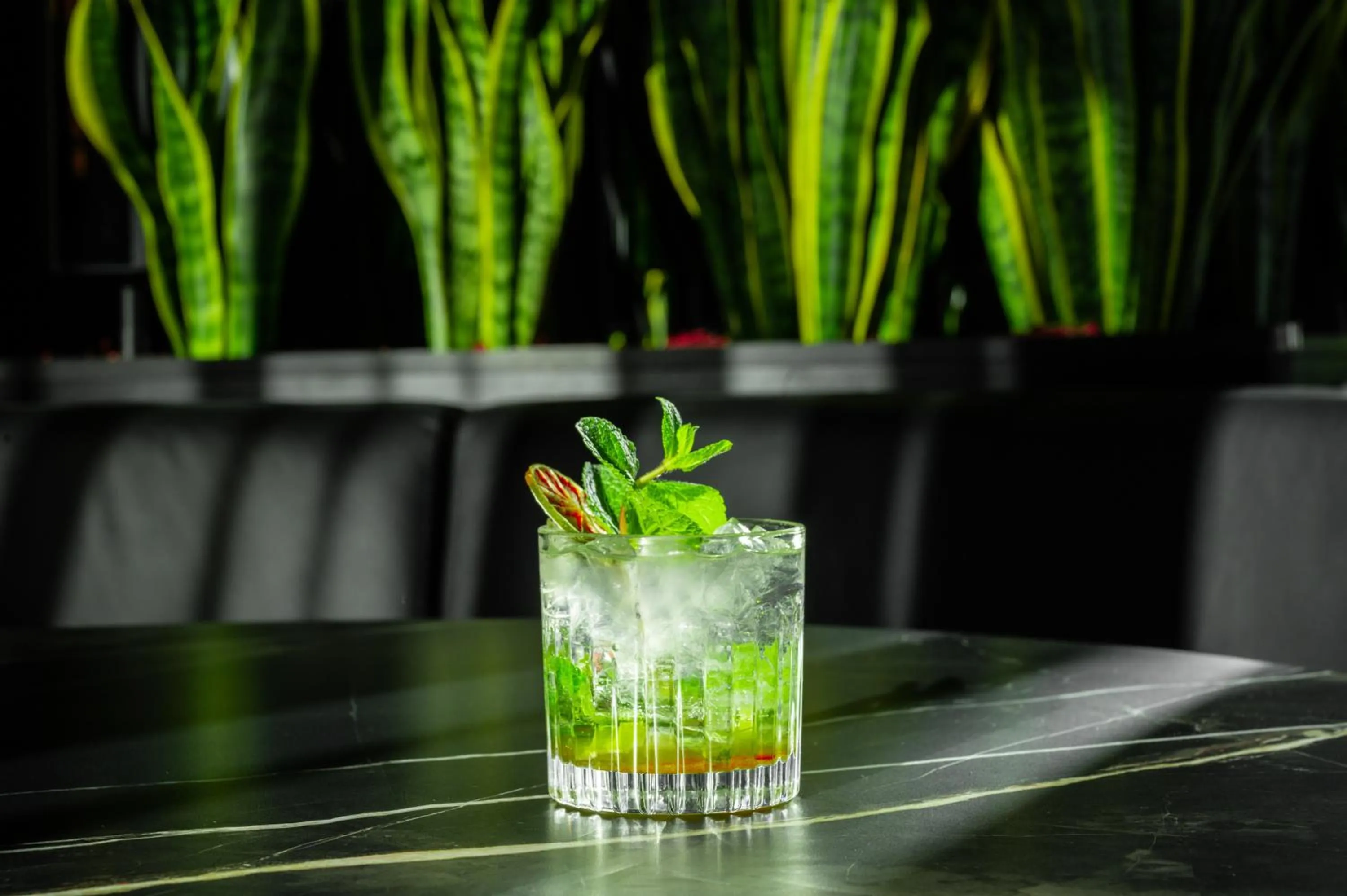 Food and drinks in TRIBE Milano Malpensa