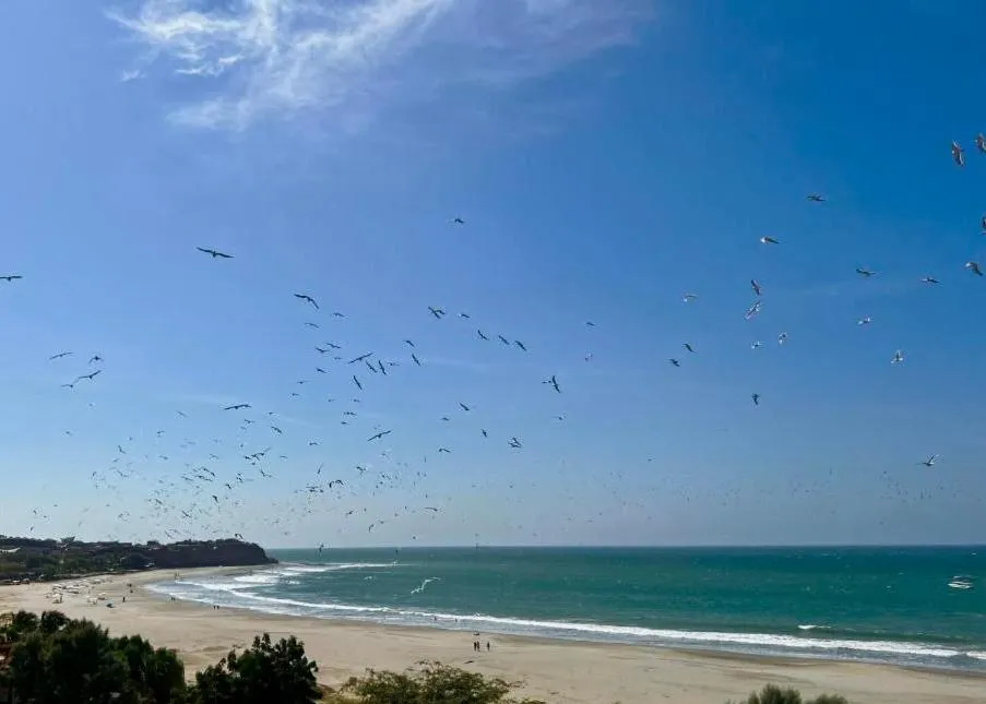 Balcony/Terrace in PUNTA VELEROS ROOFTOP