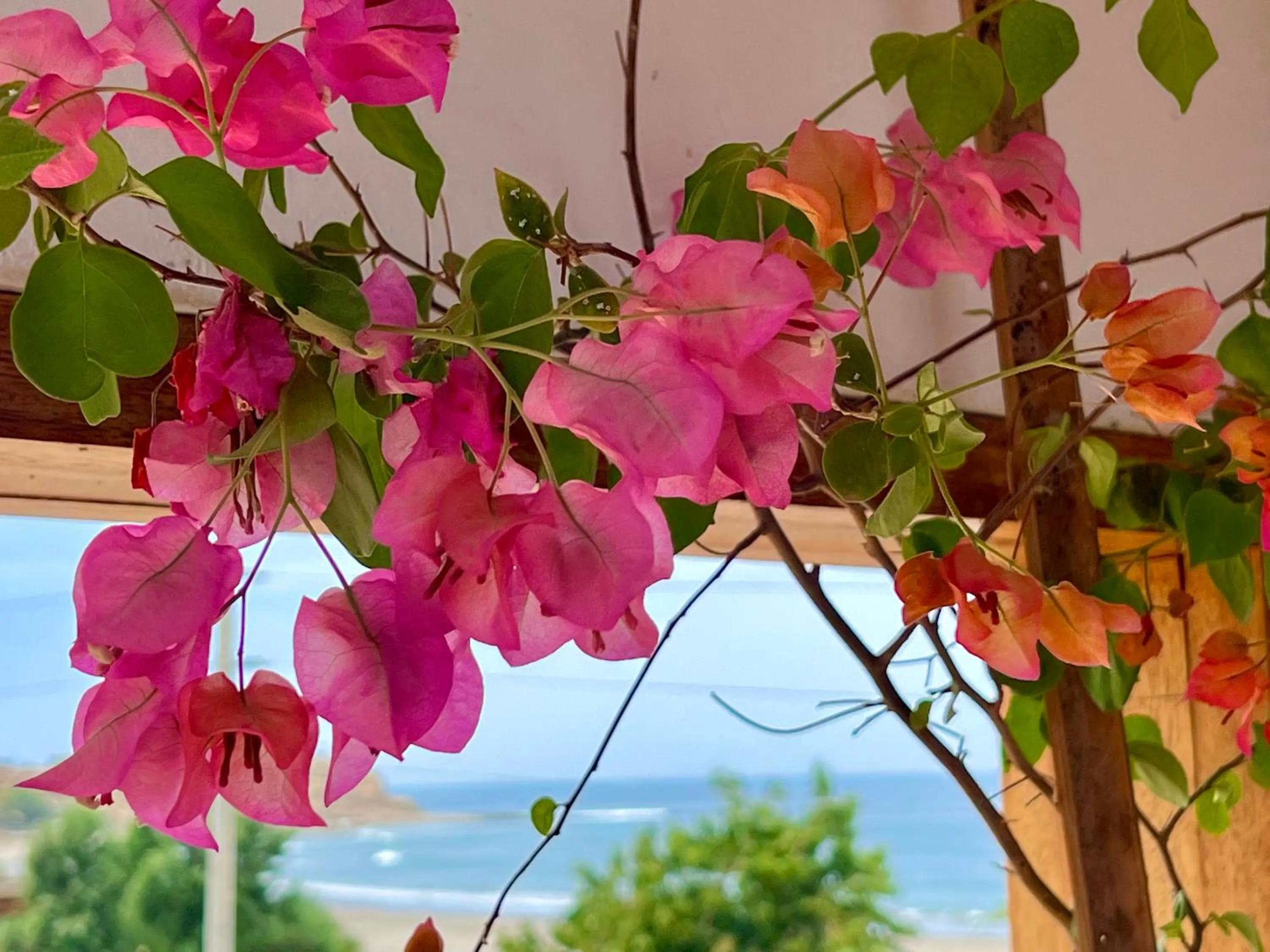 Property building in PUNTA VELEROS ROOFTOP