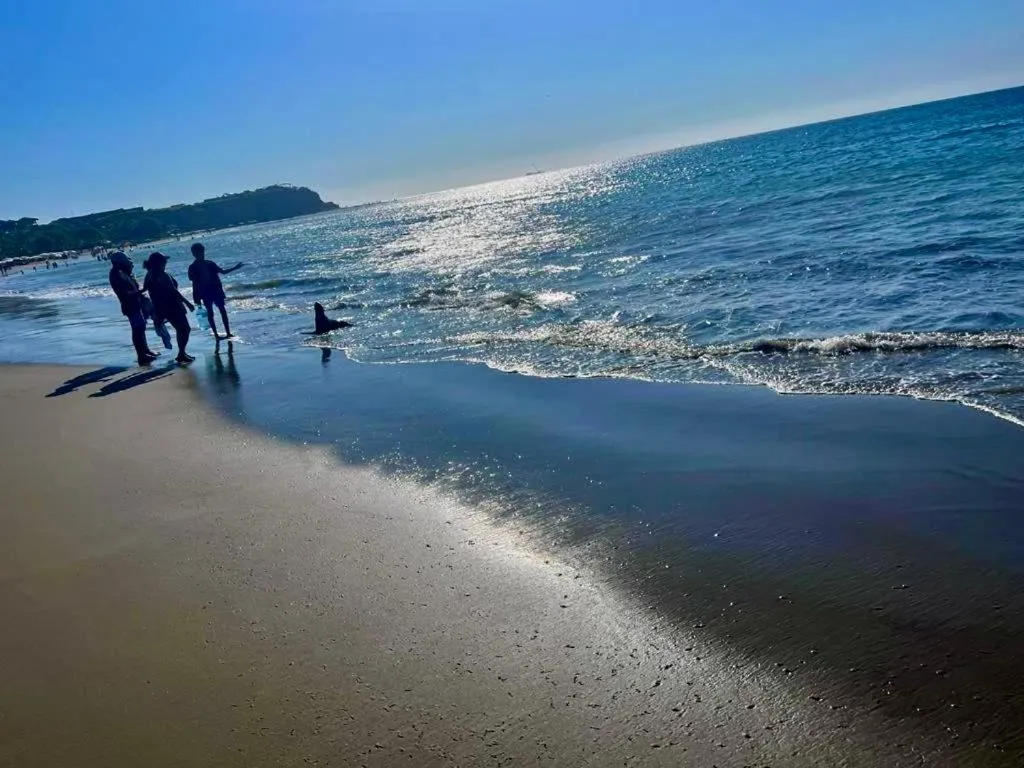 Day in PUNTA VELEROS ROOFTOP