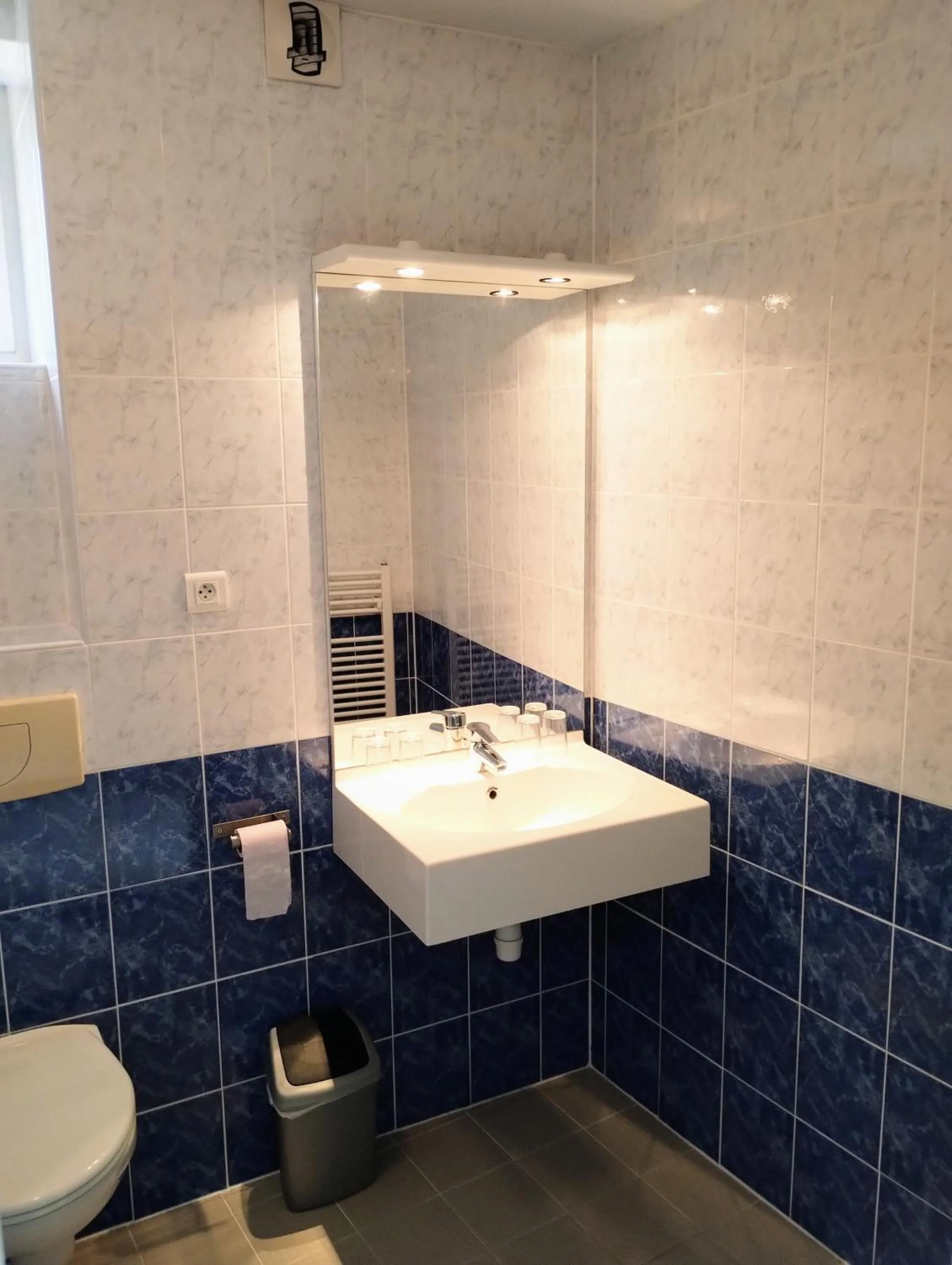 Toilet in Hotel Rêve de la Vallée