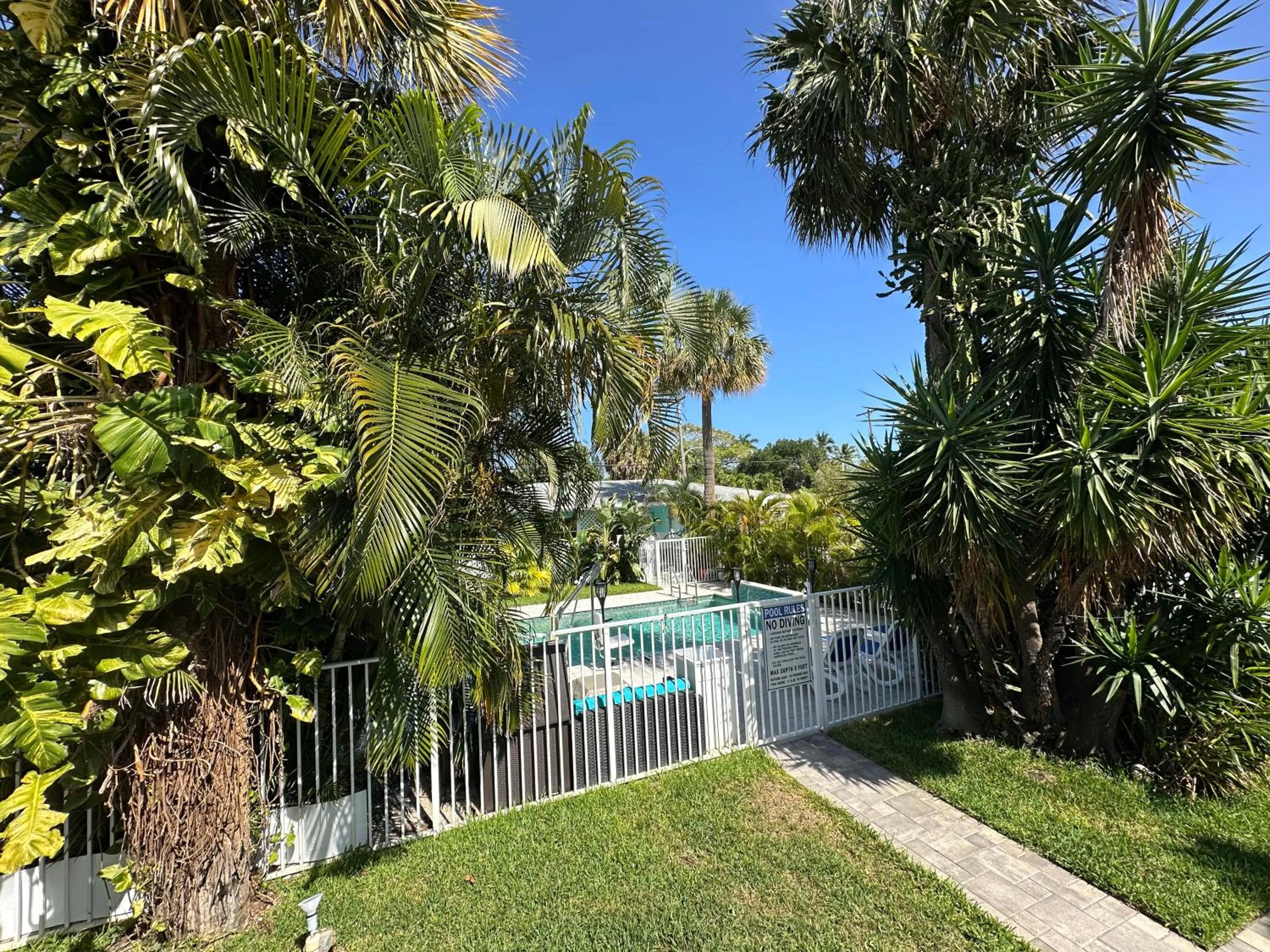 Pool view in White Horse Motel