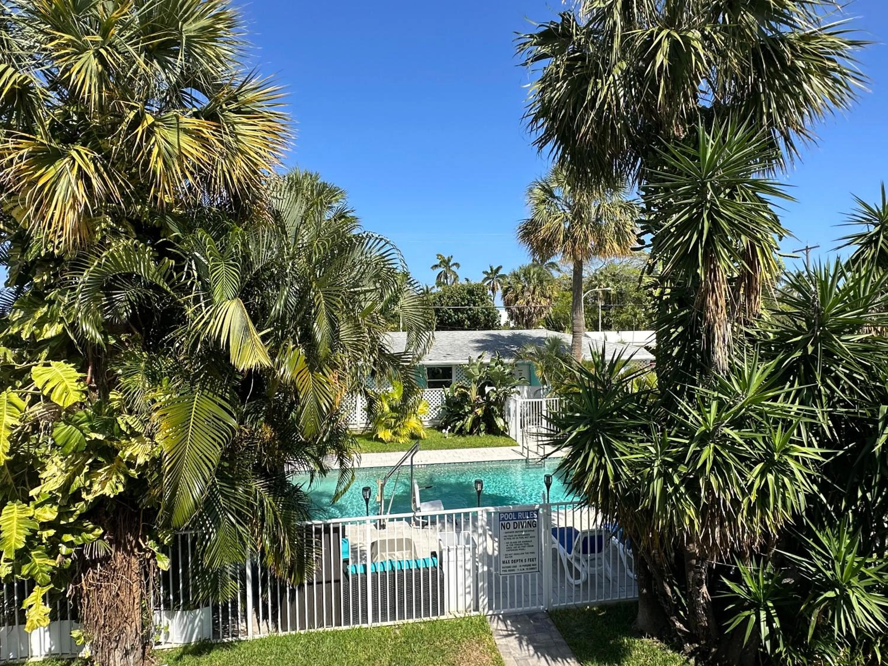 Pool view in White Horse Motel