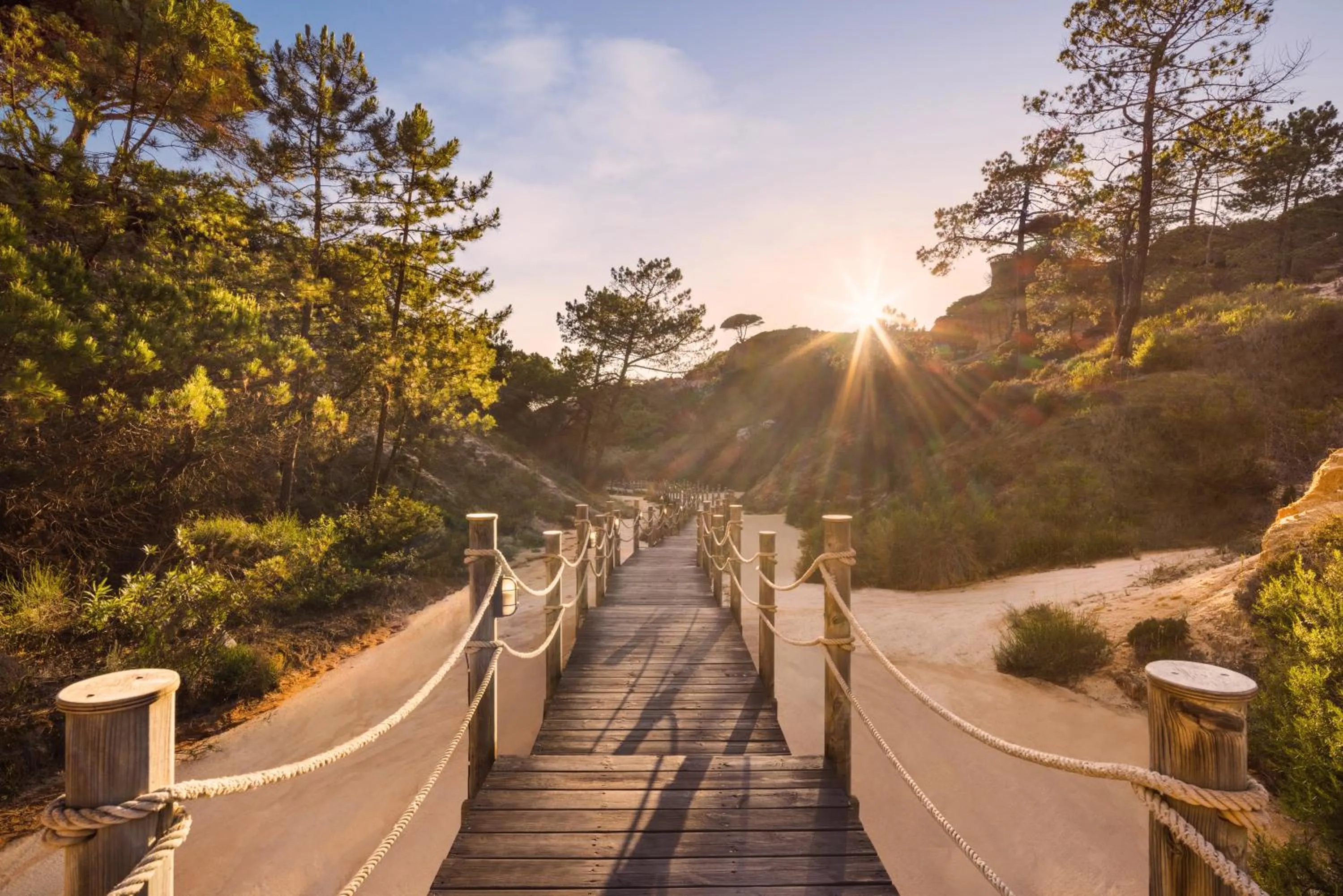 Natural landscape in Pine Cliffs Suites
