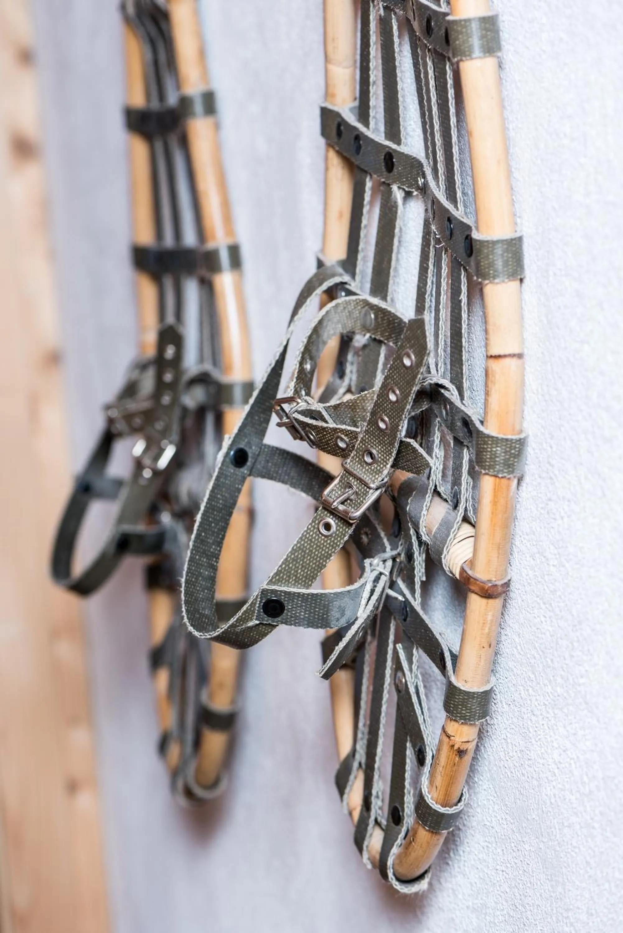 Property building in Berggasthof Biberg