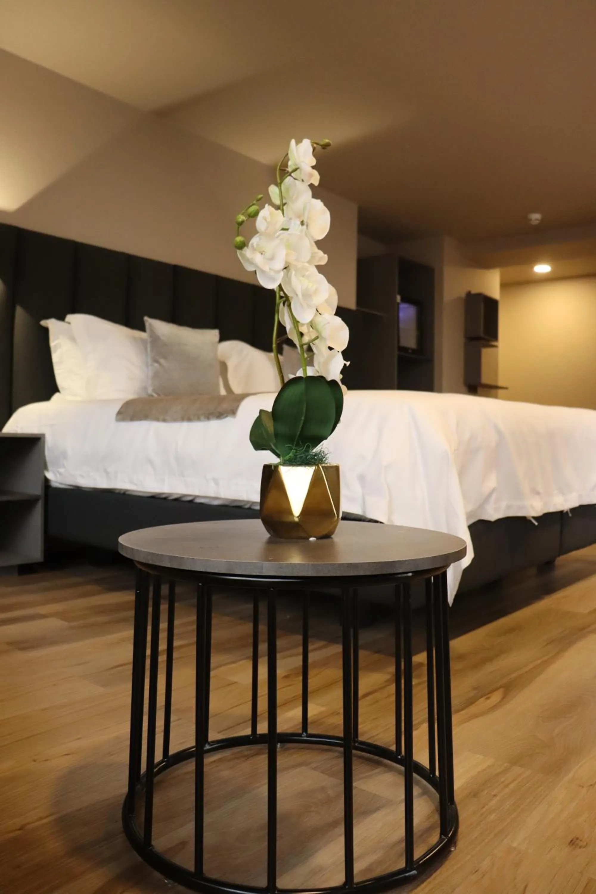 Living room in Giluxe Hotel