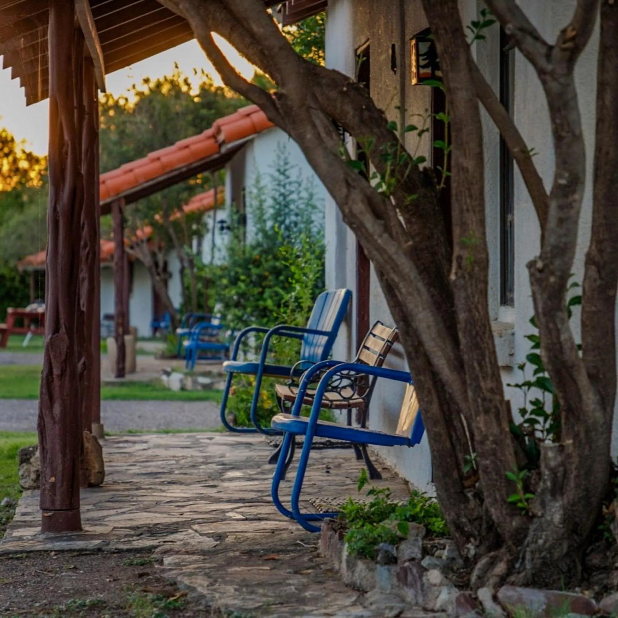 Property building in Antelope Lodge