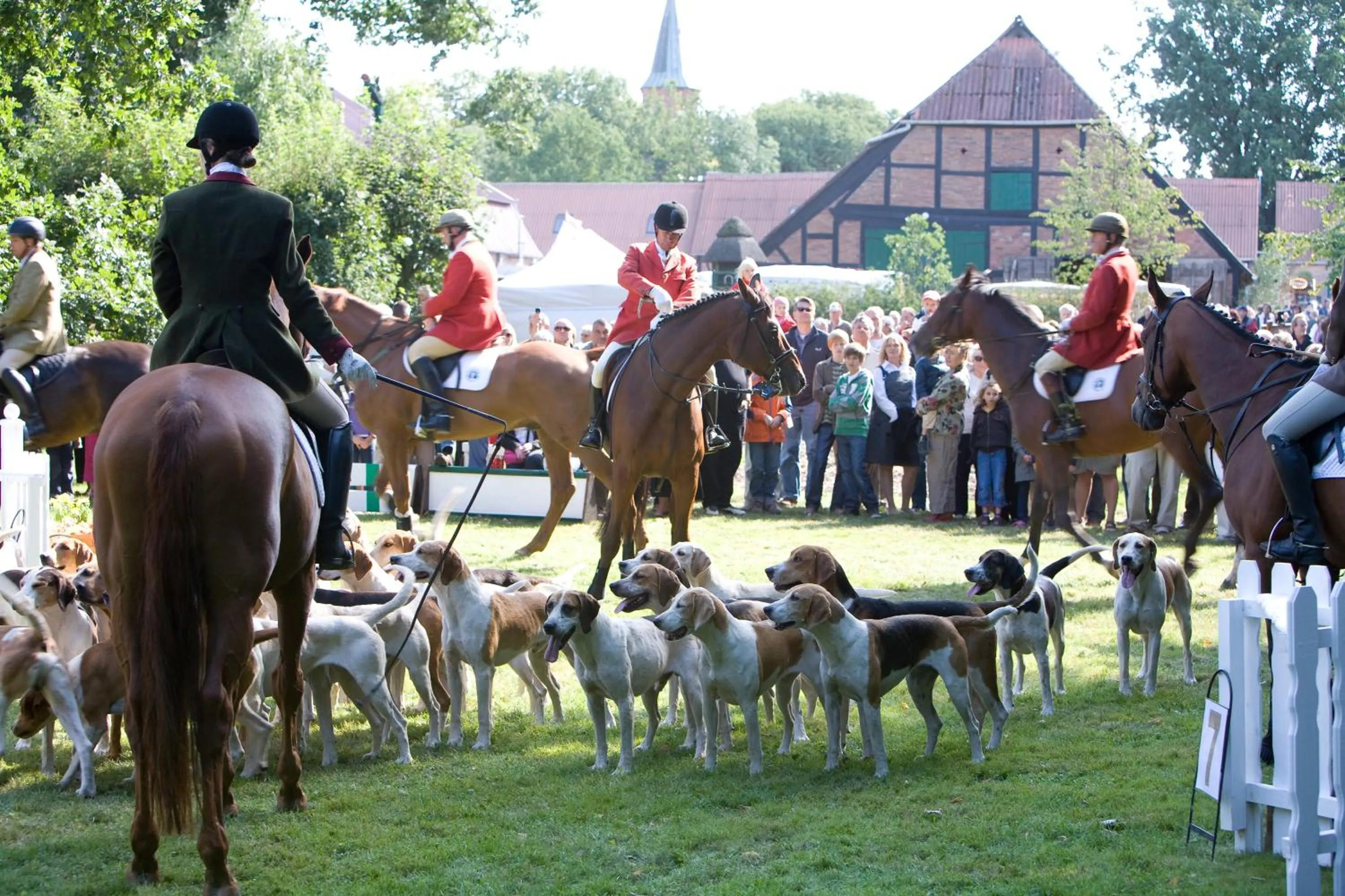 Summer in Gut Basthorst