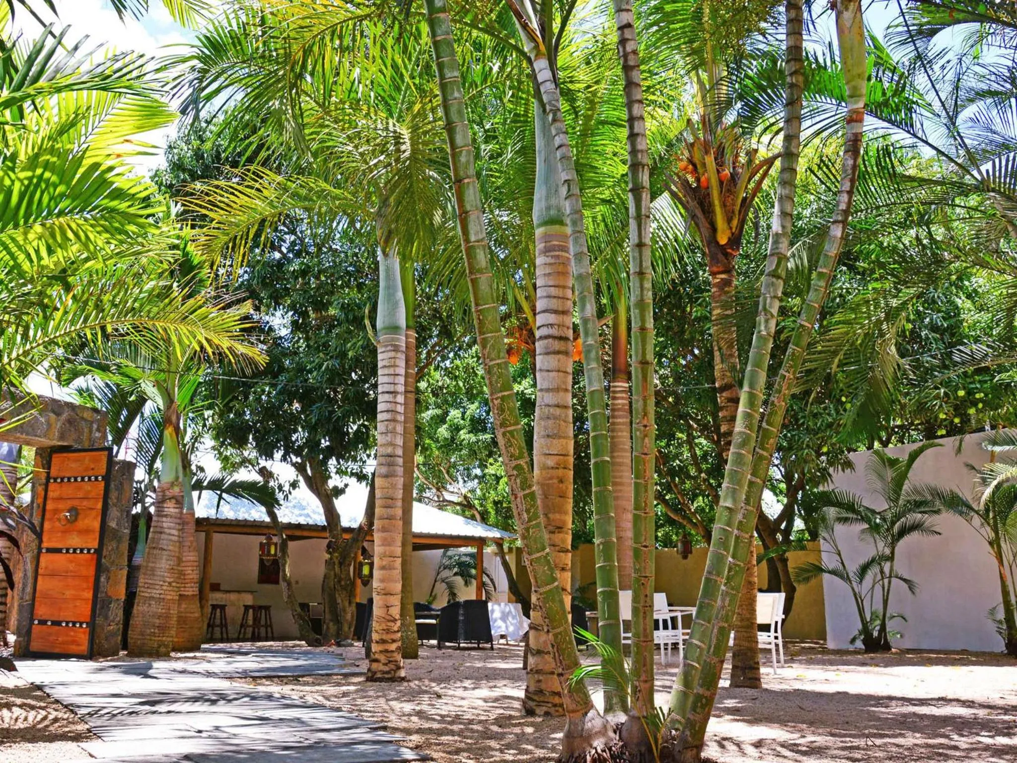 Garden view in La Margarita