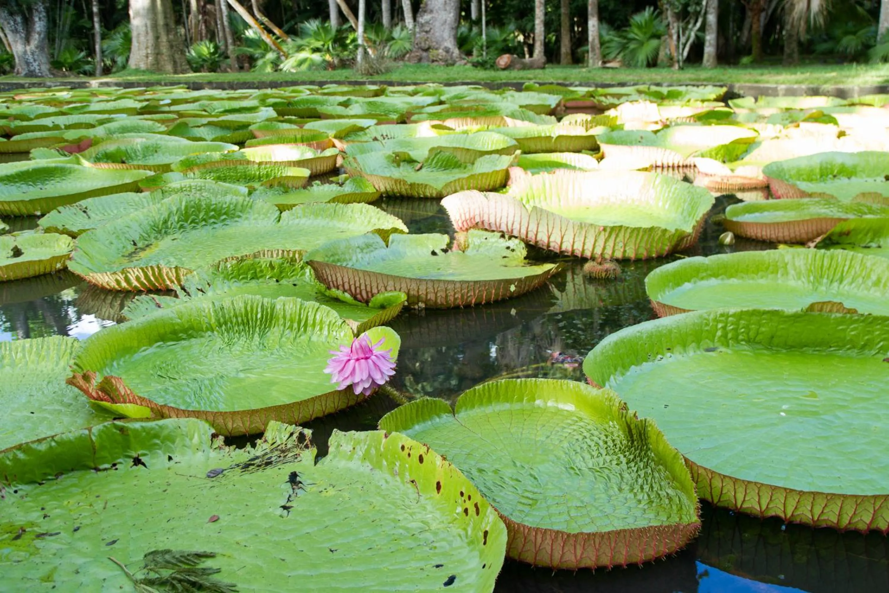 Other in La Margarita
