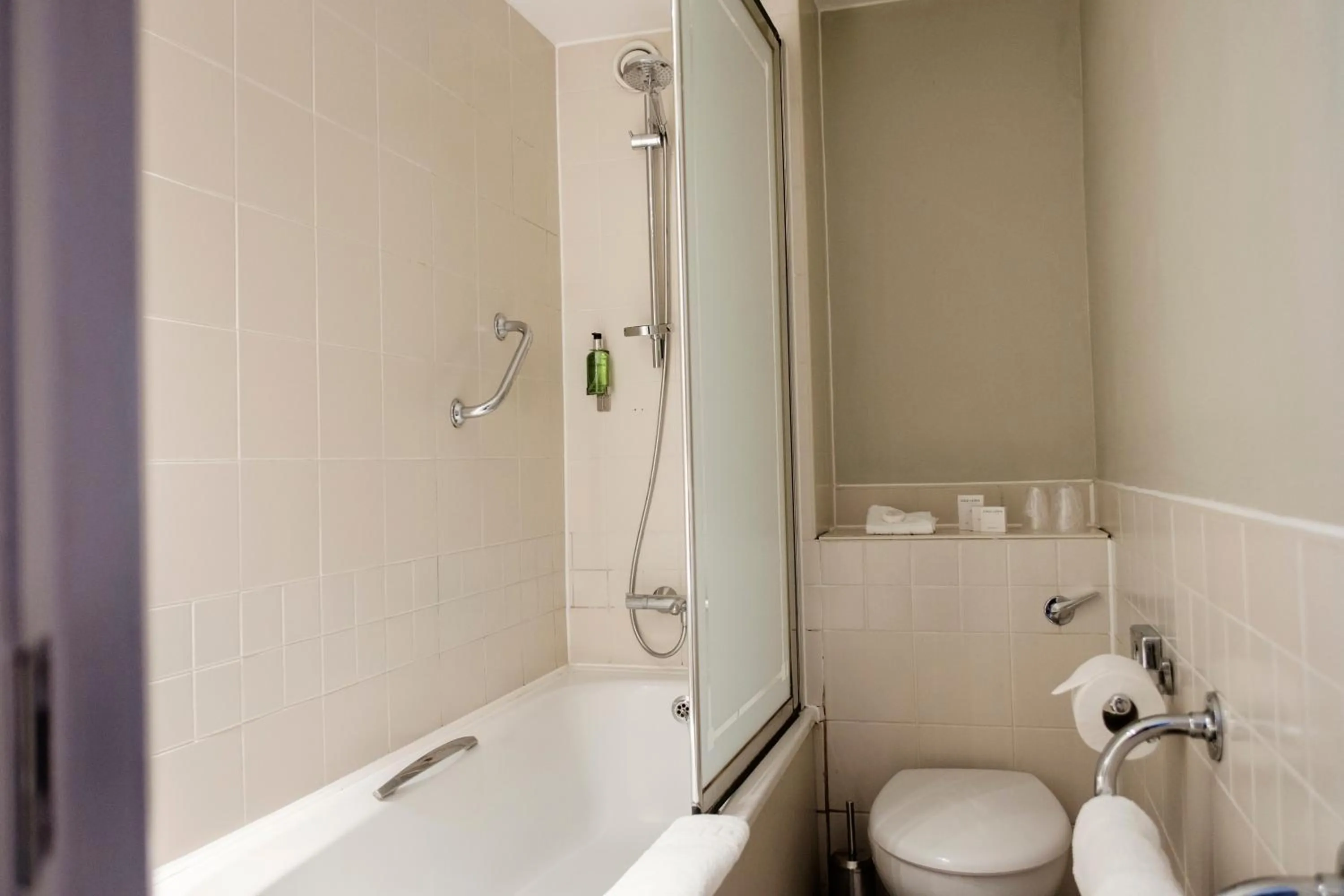 Toilet in The Mad Hatter Hotel