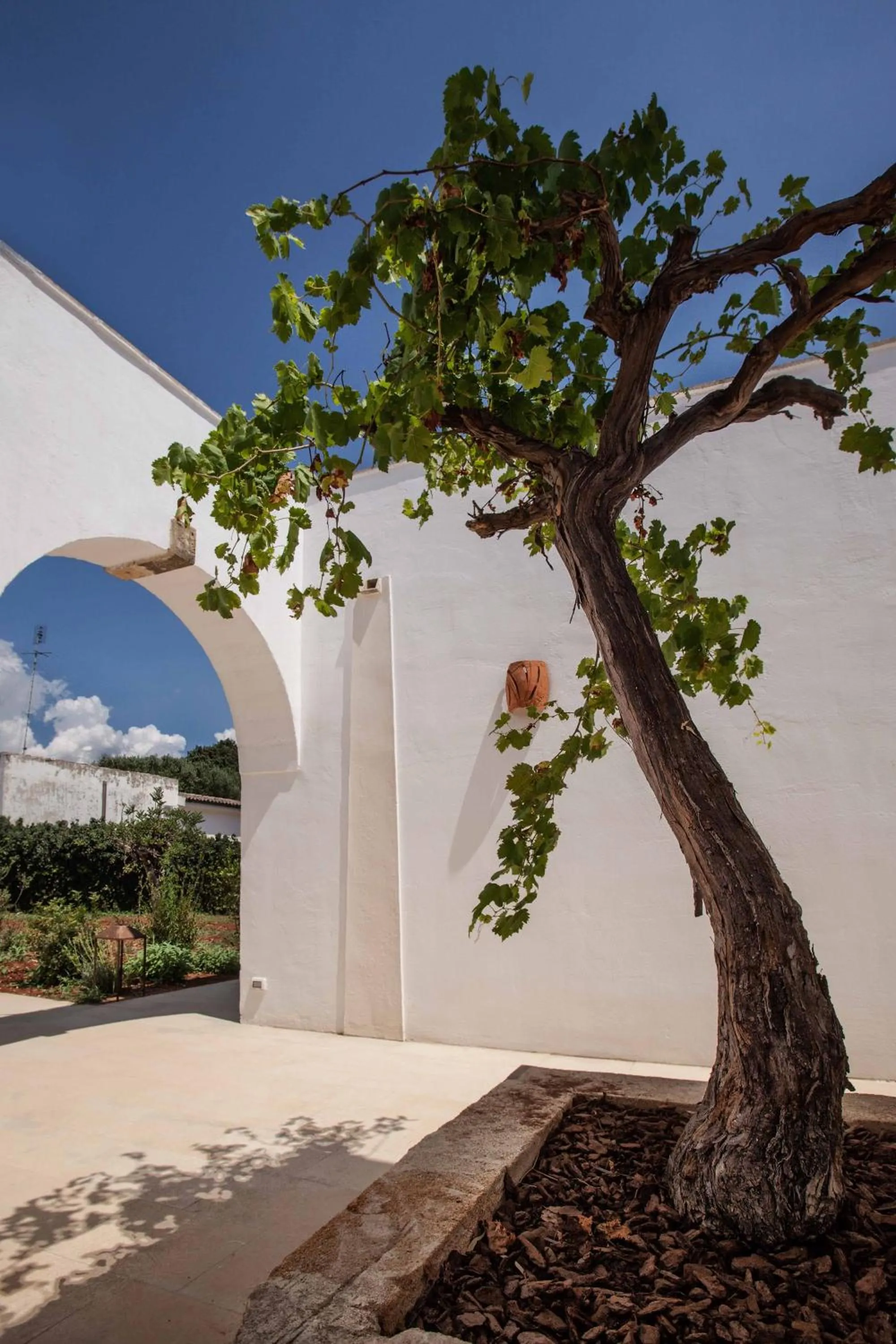 Decorative detail in Santa Marina Masseria del Salento