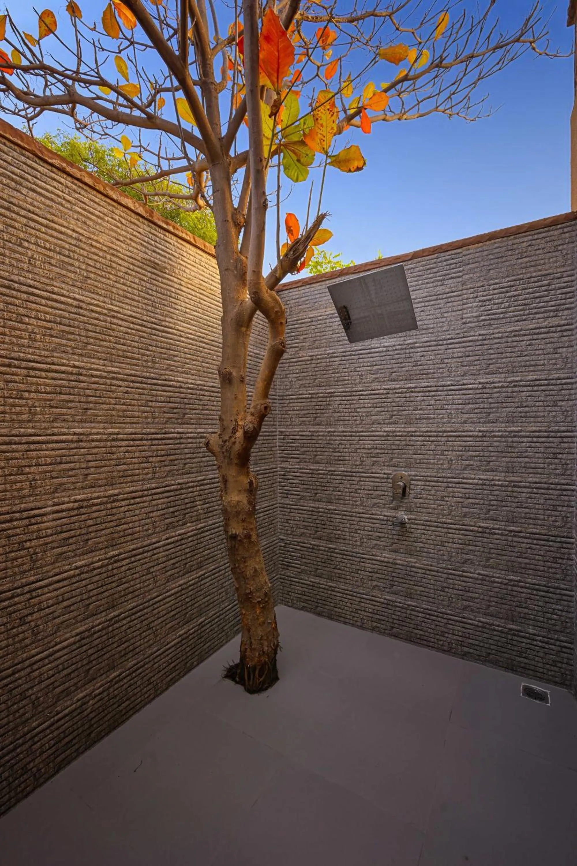 Shower in Aranya Vilas, Ranthambhore
