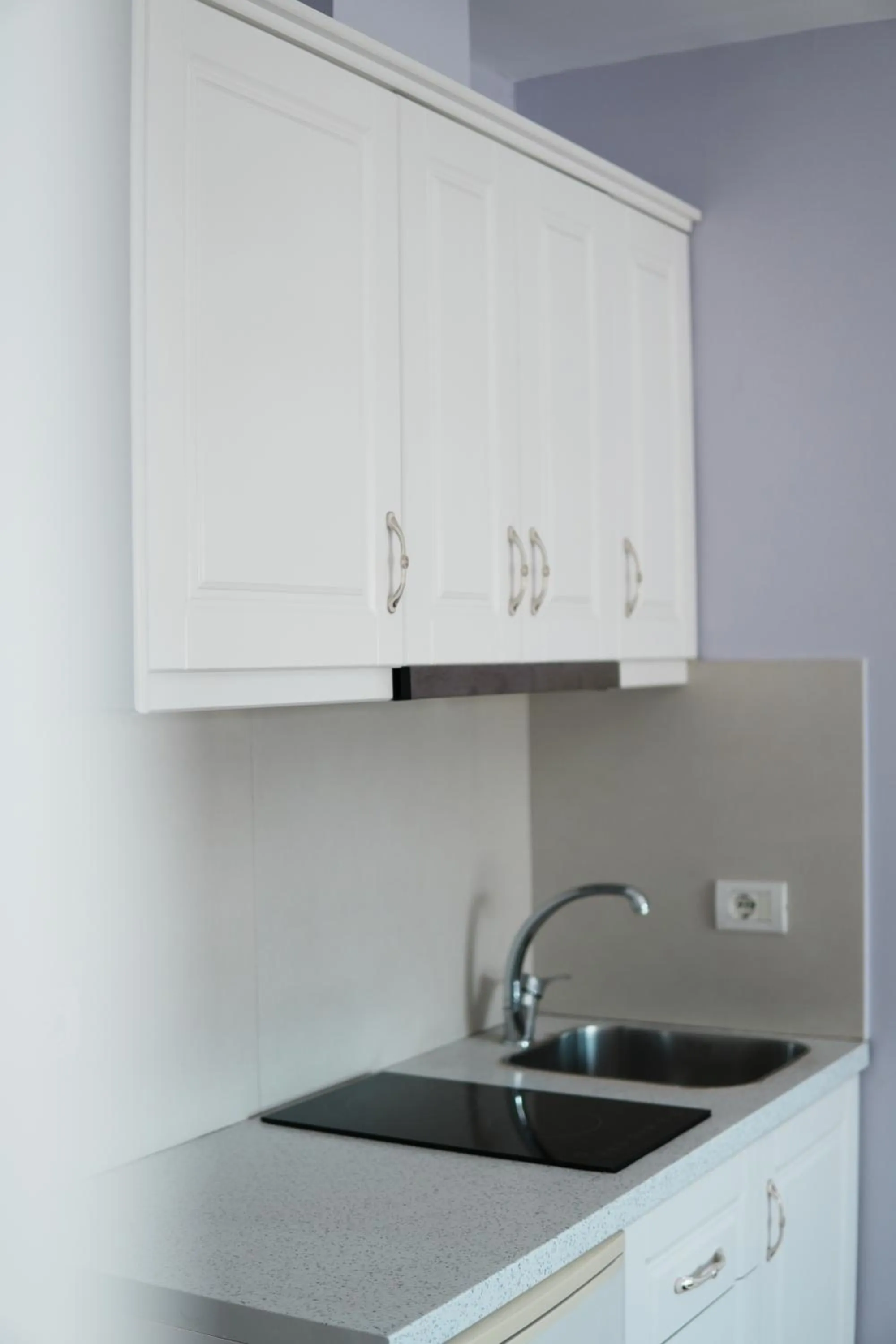 Kitchen or kitchenette in Apartments Flower Residence