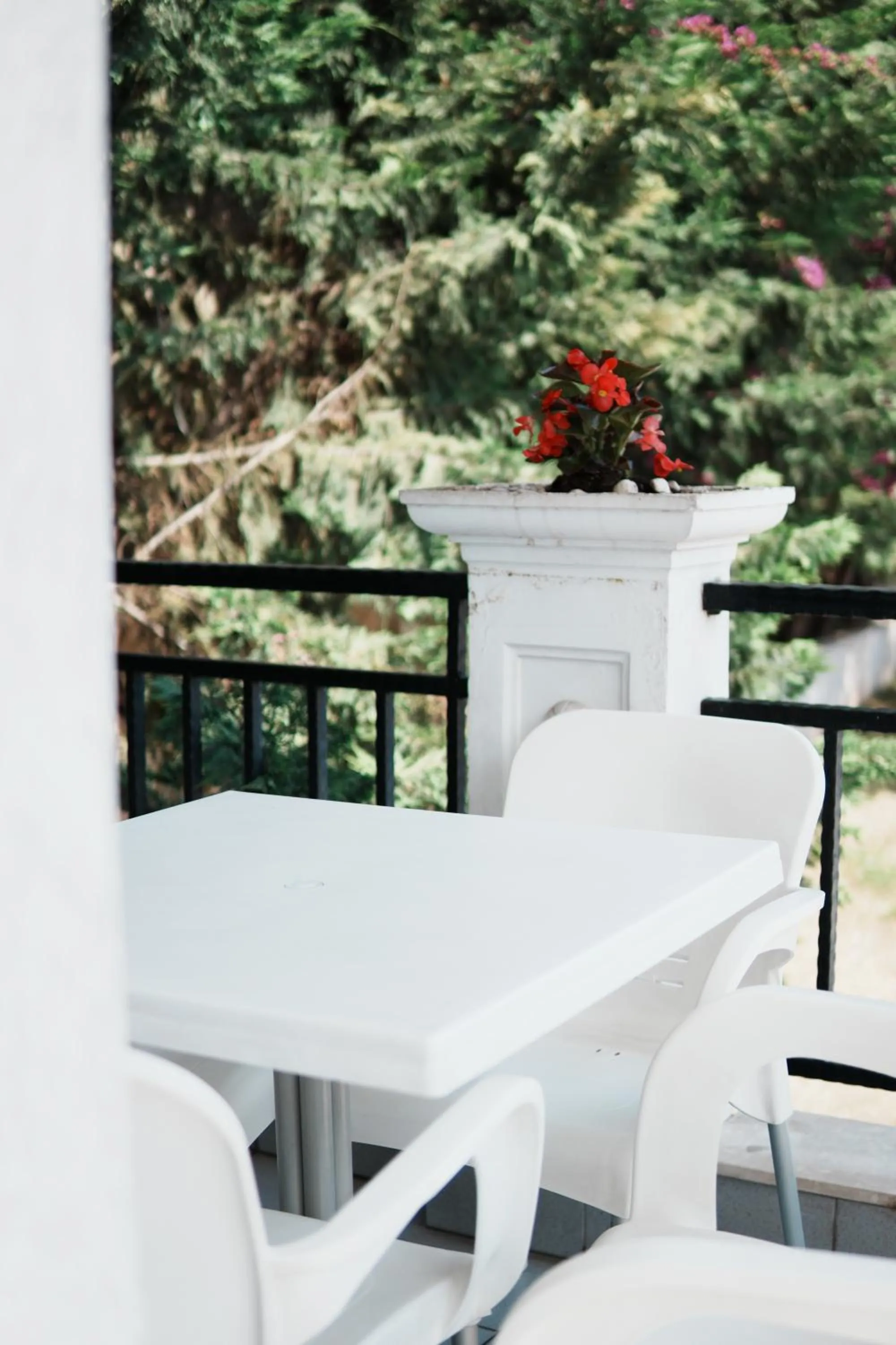 Patio in Apartments Flower Residence