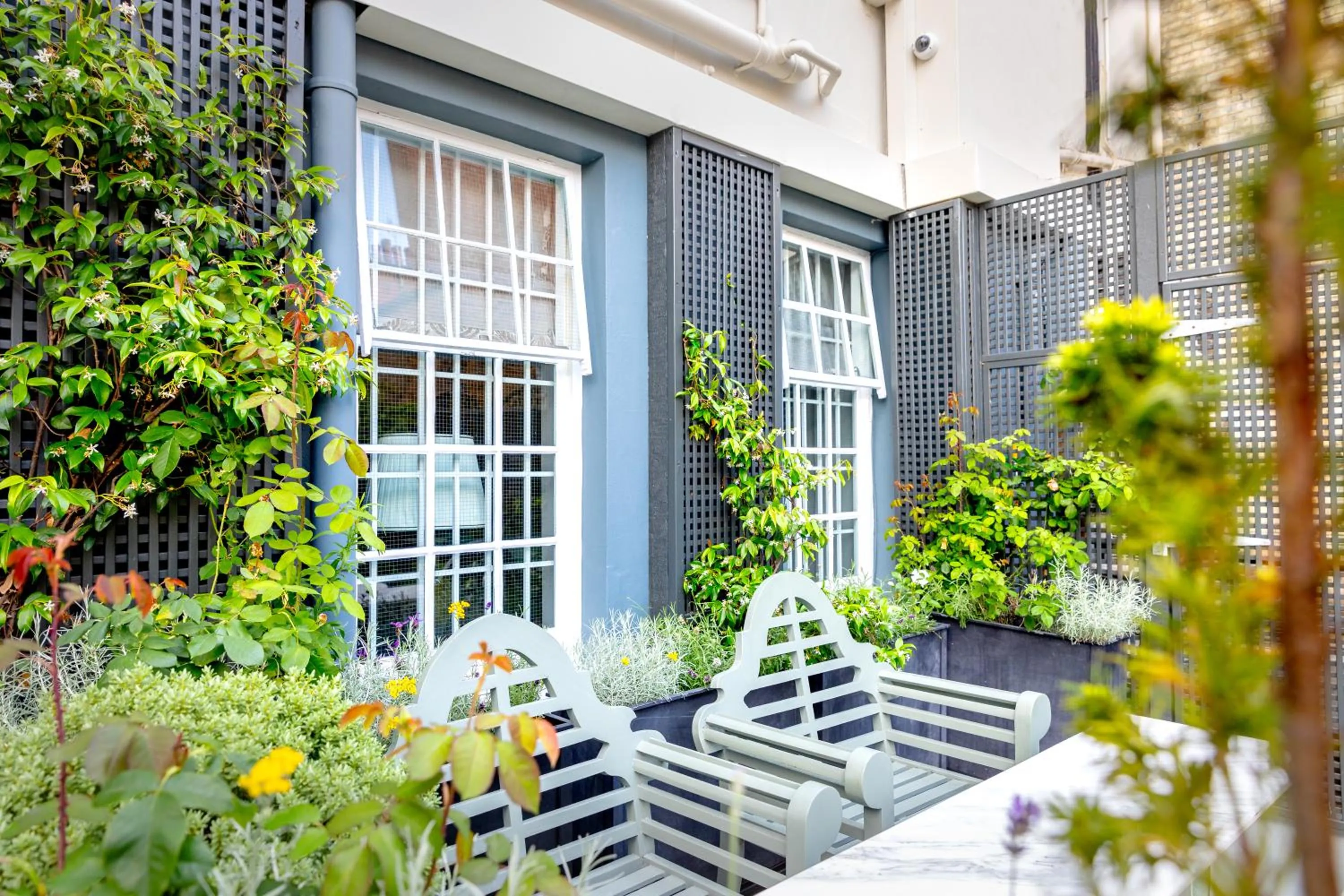 Garden in No. 30 Knightsbridge