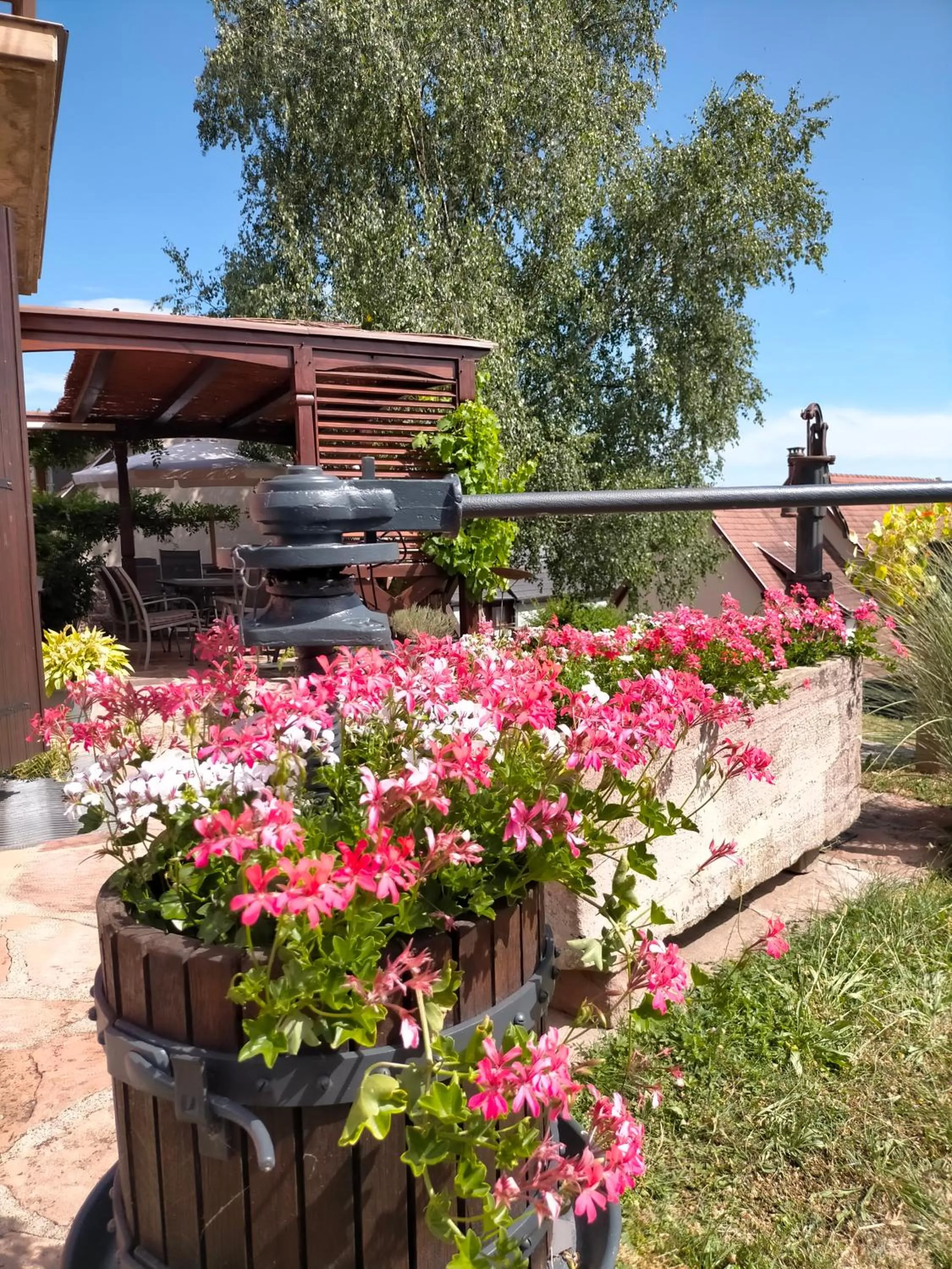 Garden in Chez Yolande