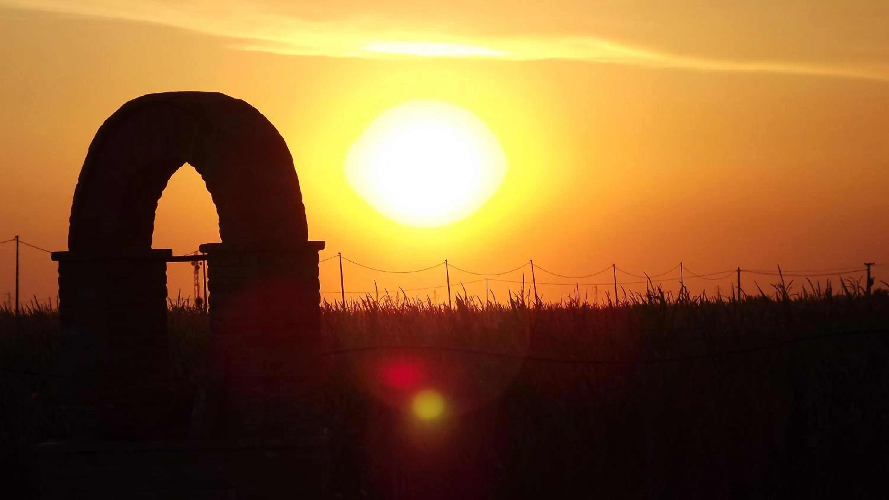 Garden in Il Frattiero B&B
