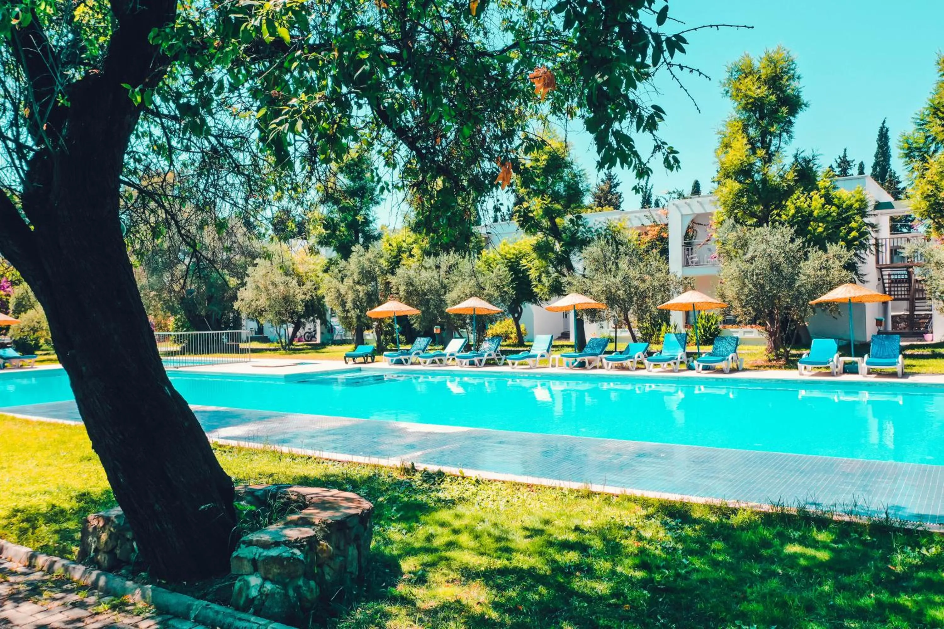 Day in Muskebi Apart Otel