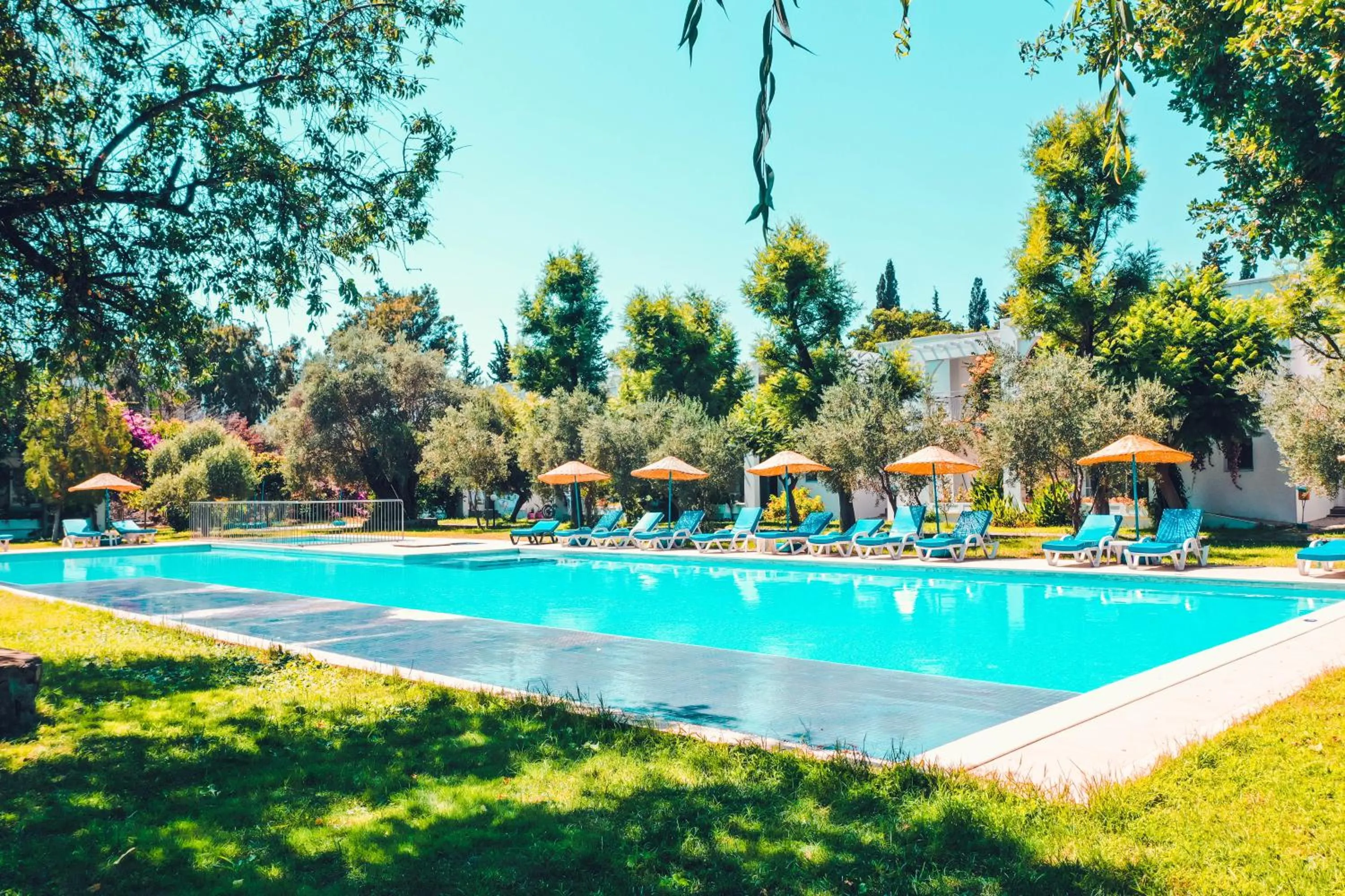 Spring in Muskebi Apart Otel