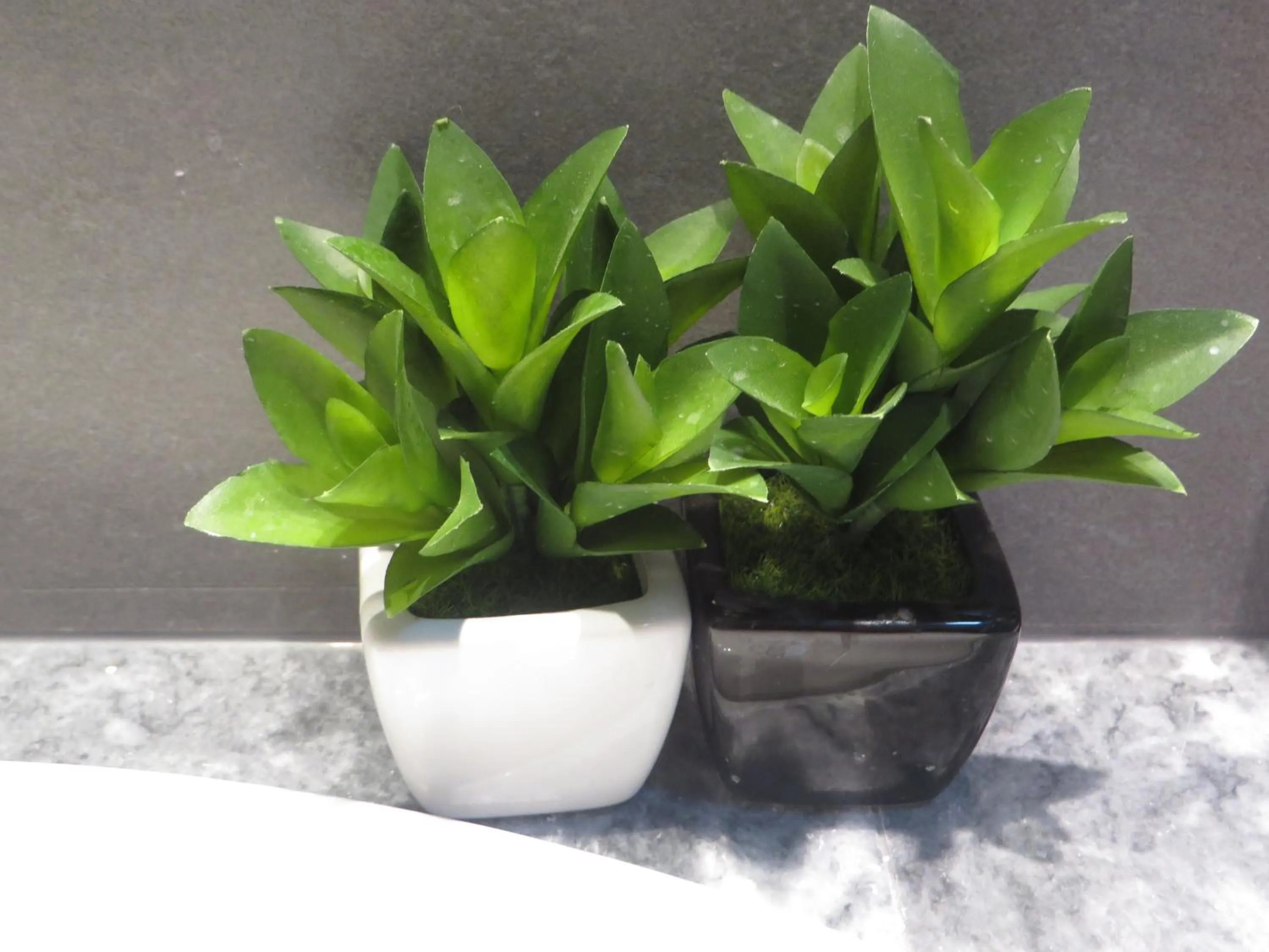 Toilet in Villa Marija M L