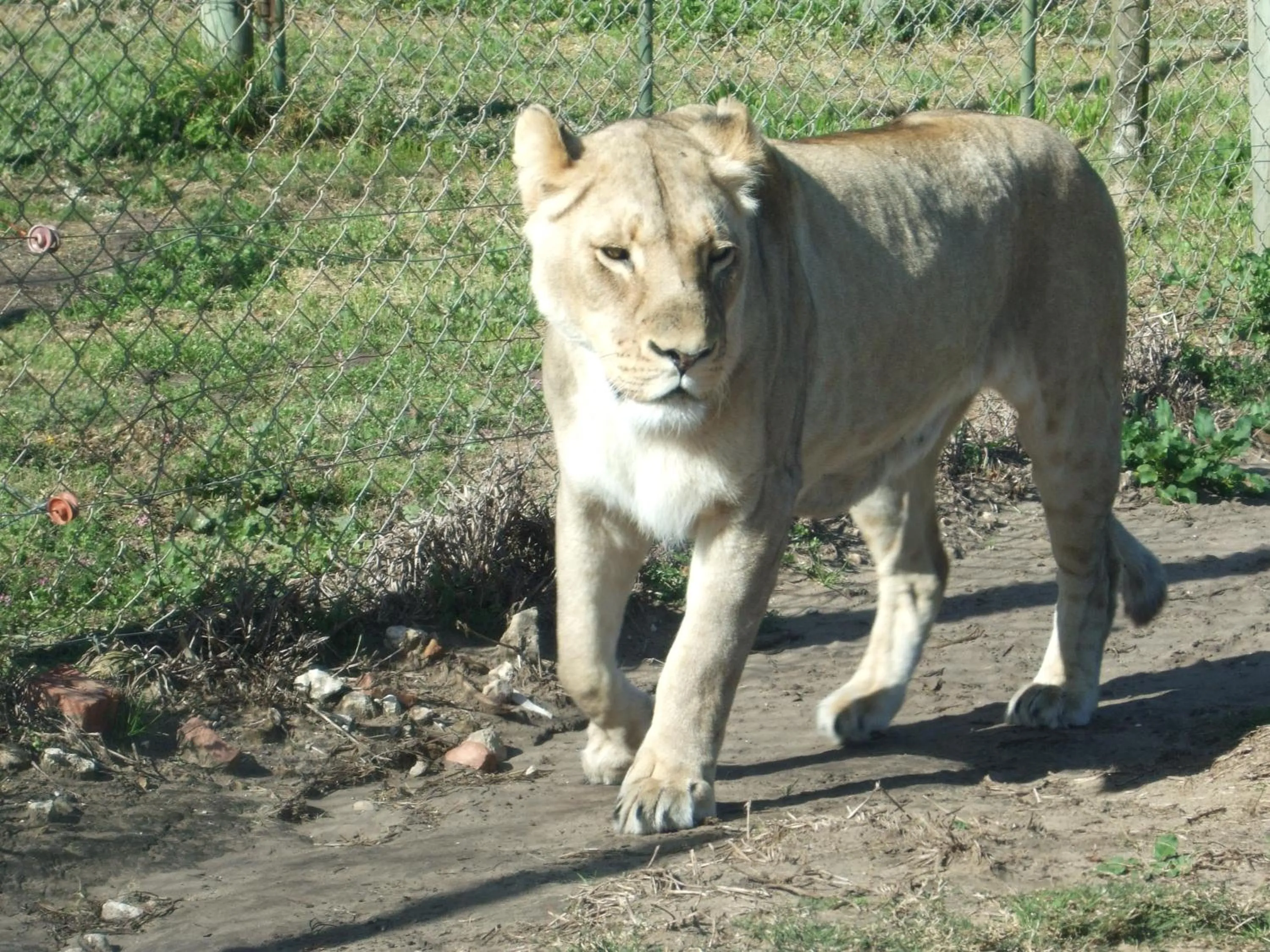 Other in Jikeleza Lodge