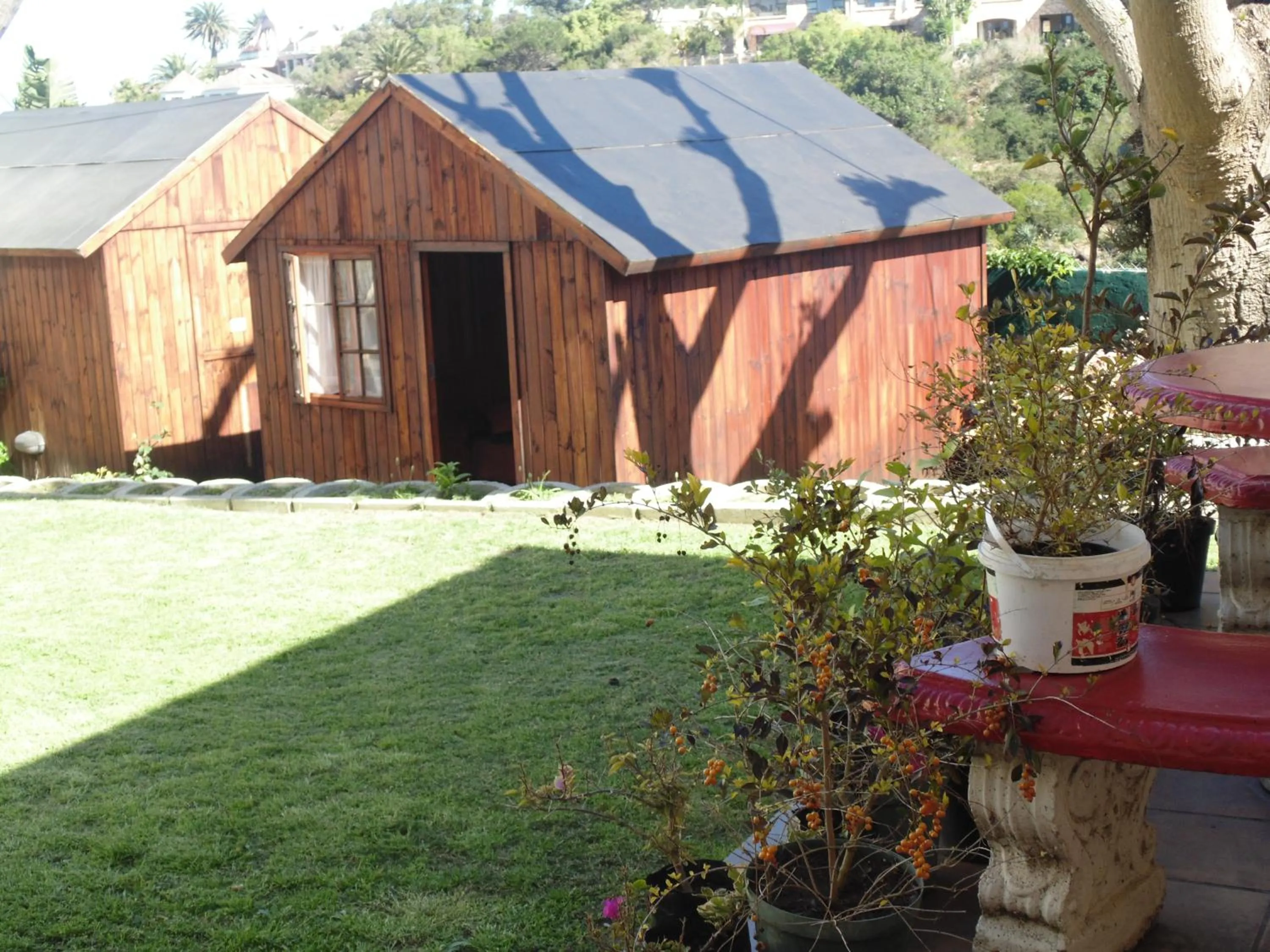 Garden in Jikeleza Lodge