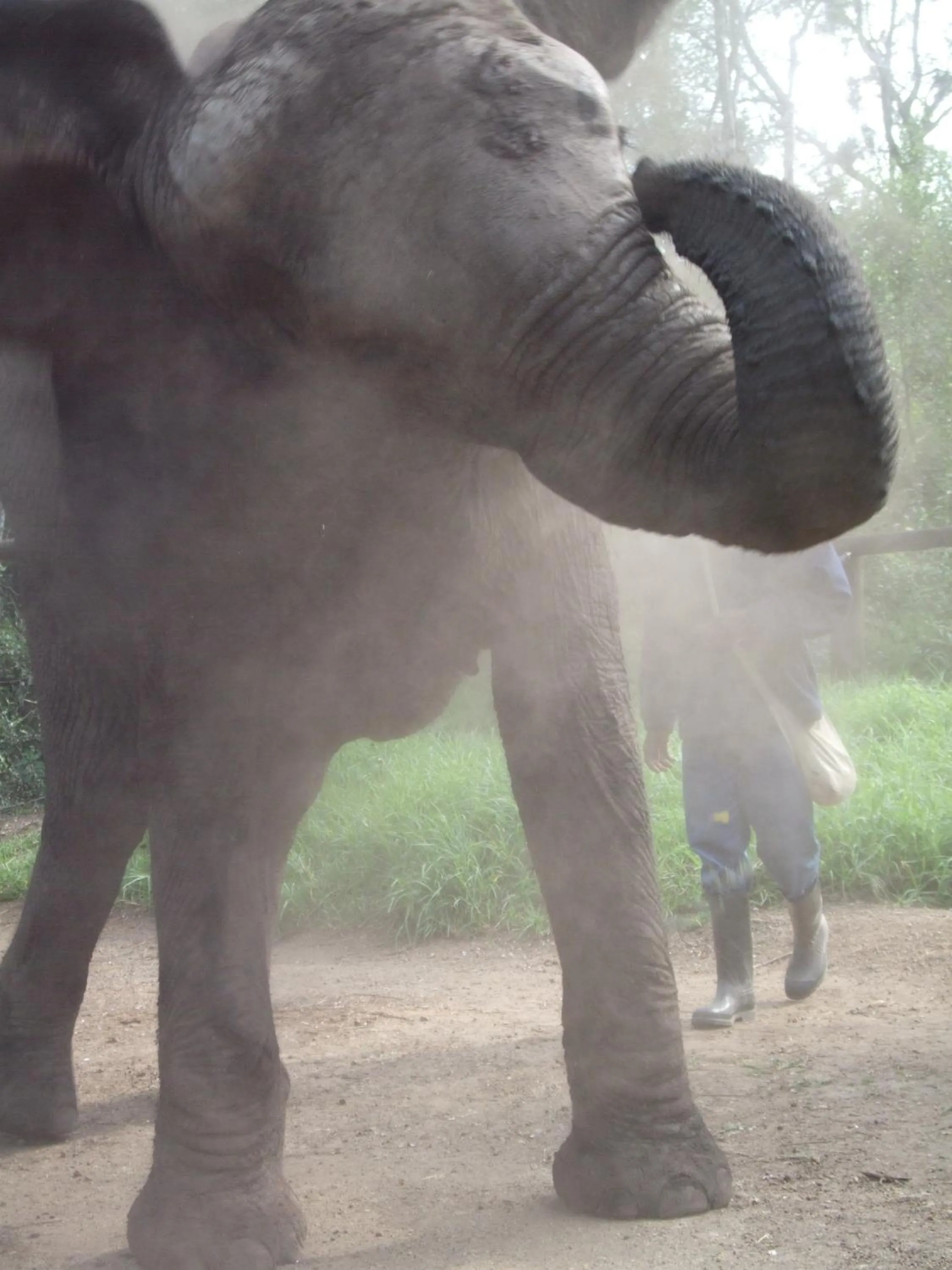 Activities in Jikeleza Lodge