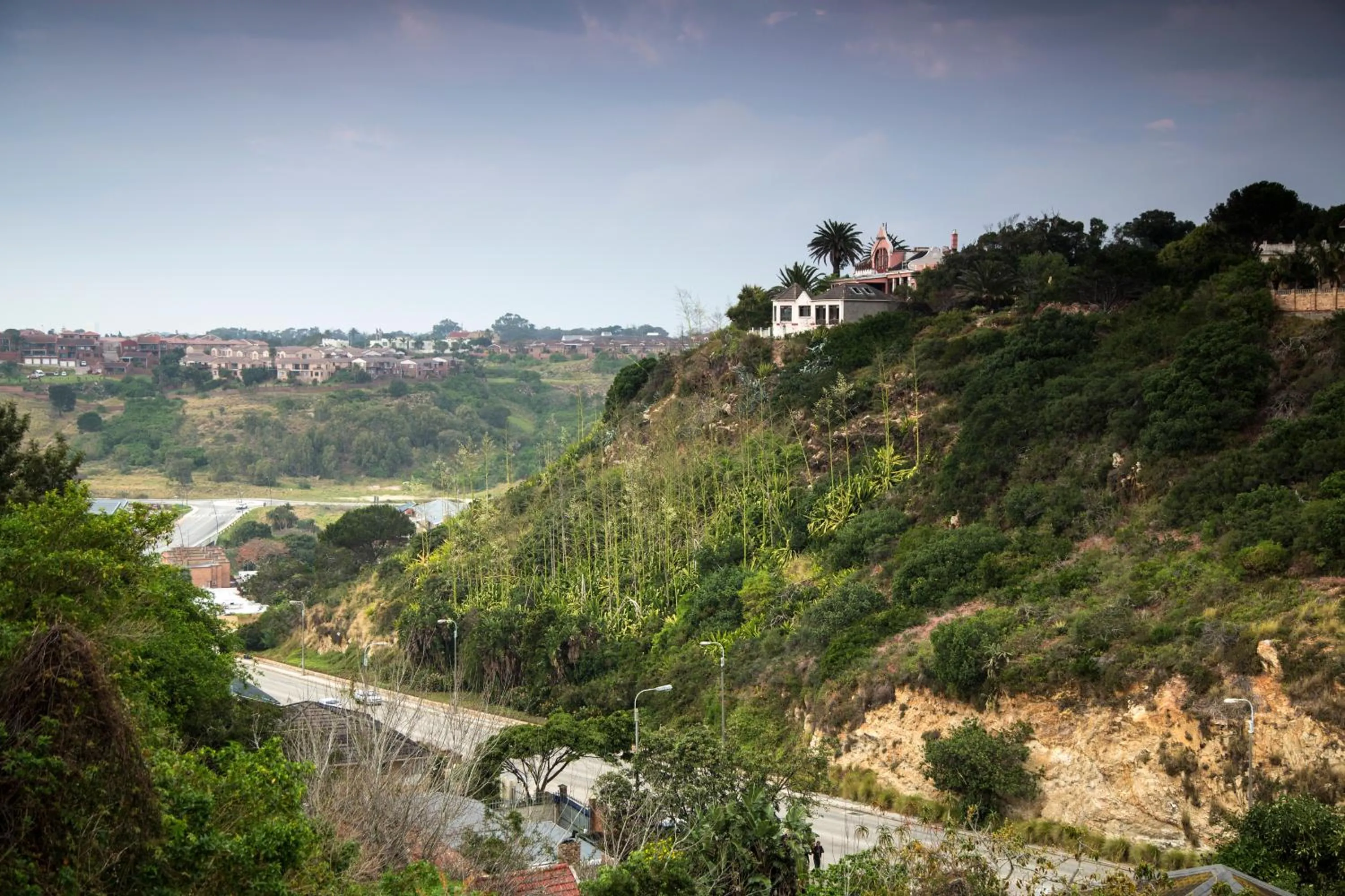View (from property/room) in Jikeleza Lodge