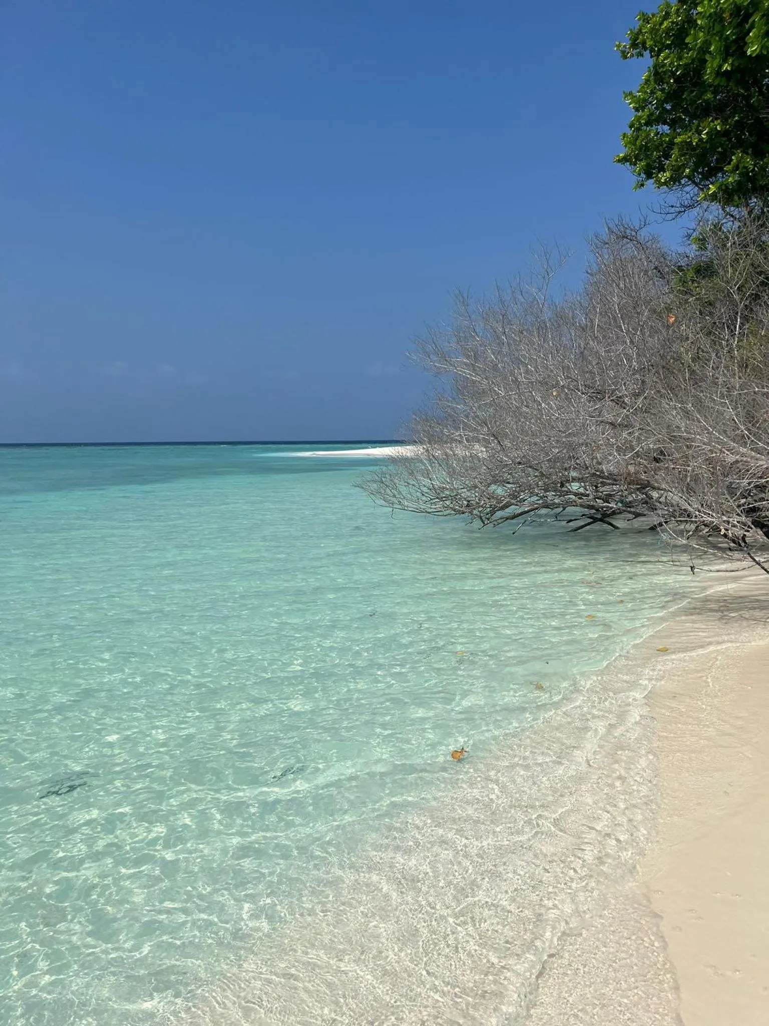 Beach in Madi Giri Guest House