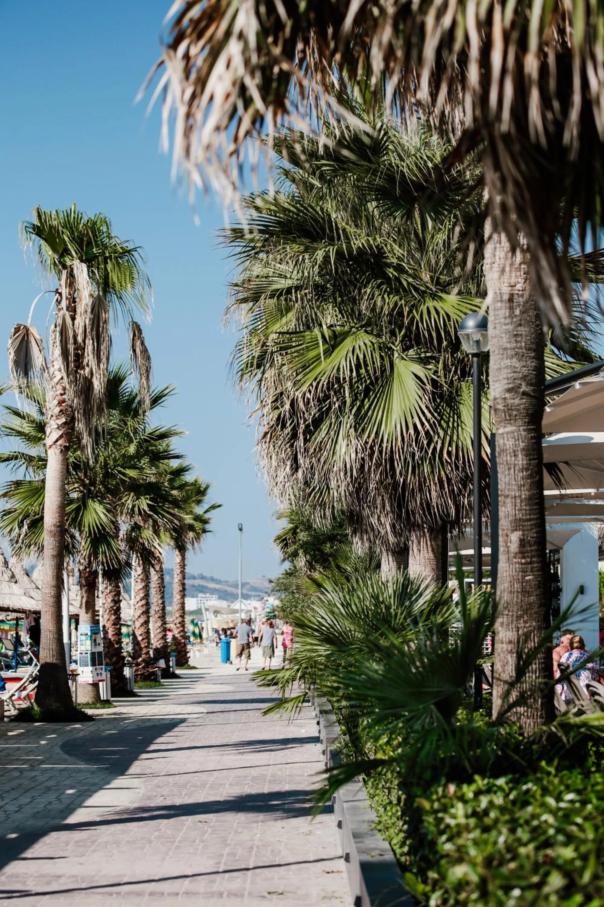 Garden in Klajdi Resort & SPA