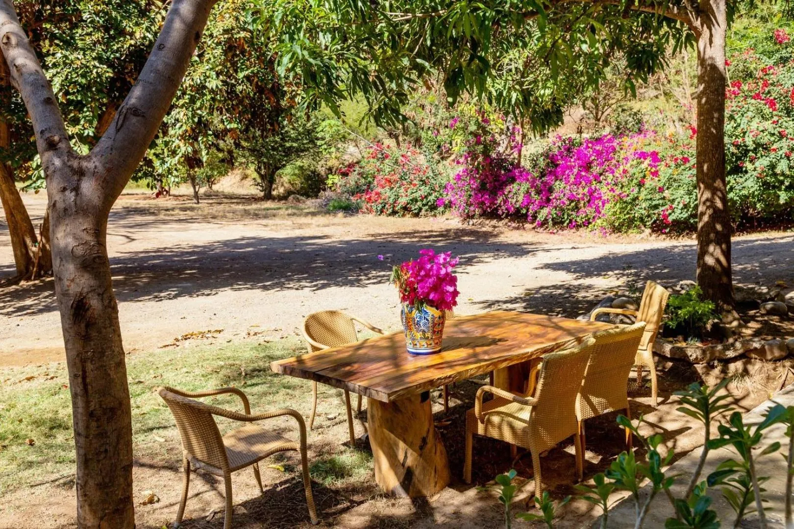 Natural landscape in La Dulce Vista Hotel & Villas - Sierra Madre Puerto Vallarta