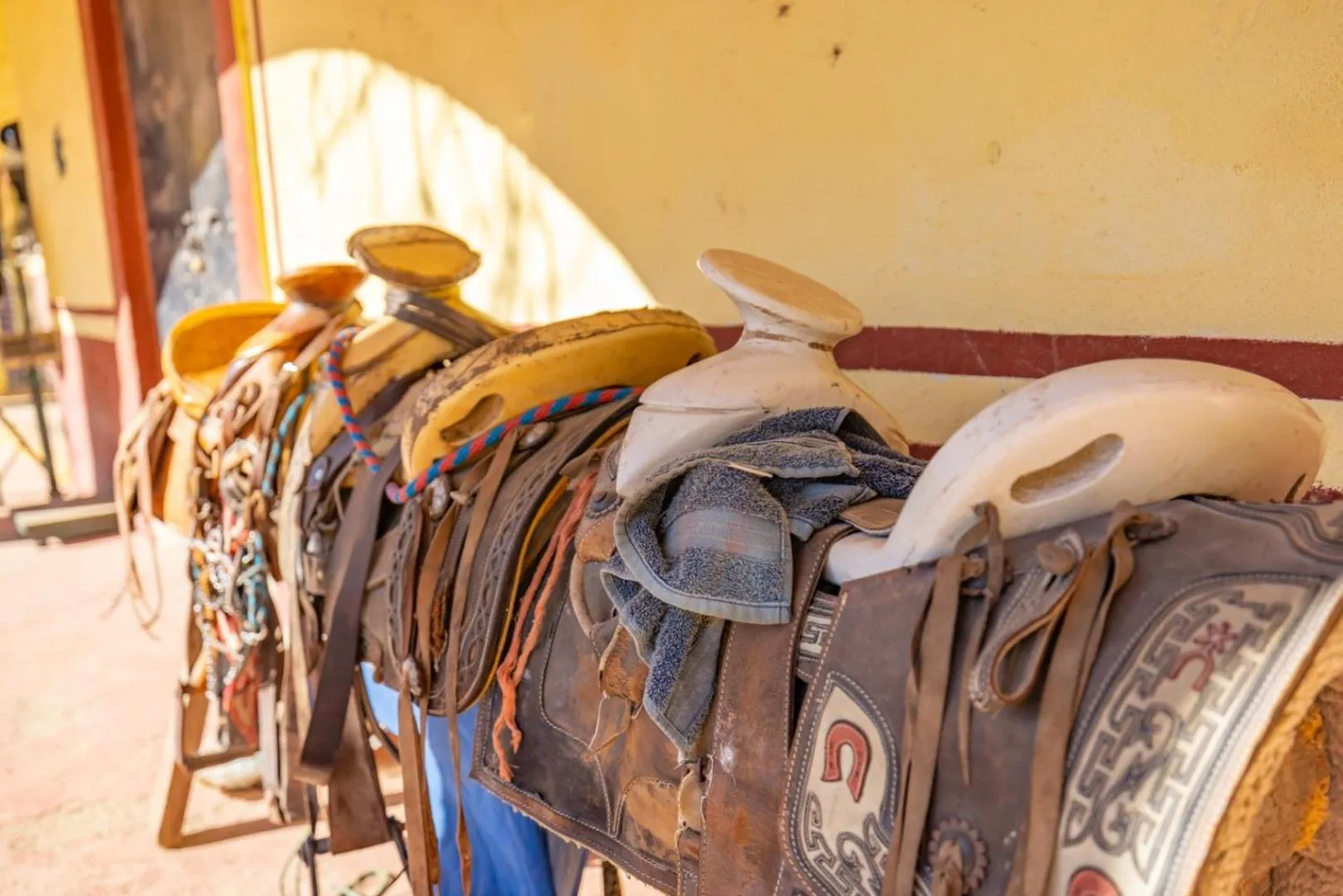 Activities in La Dulce Vista Hotel & Villas - Sierra Madre Puerto Vallarta