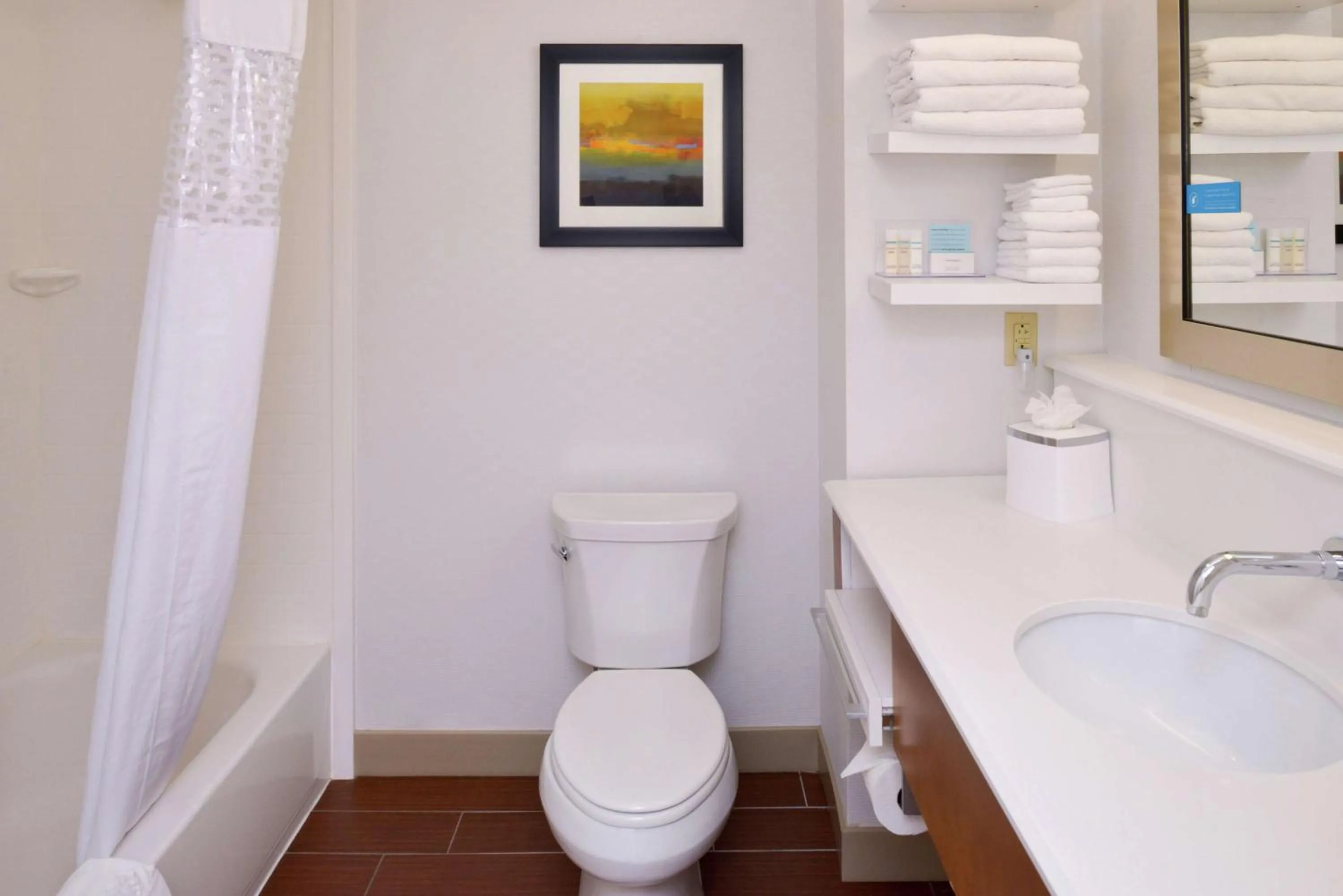 Bathroom in Hampton Inn & Suites by Hilton Lonoke