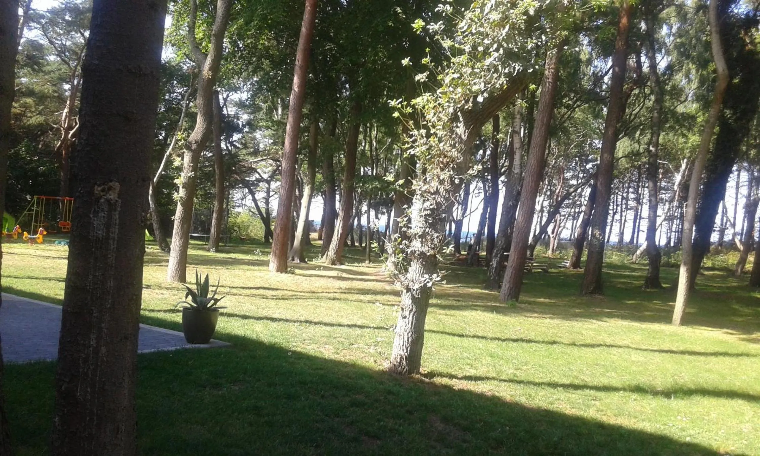 Natural landscape in Borgata