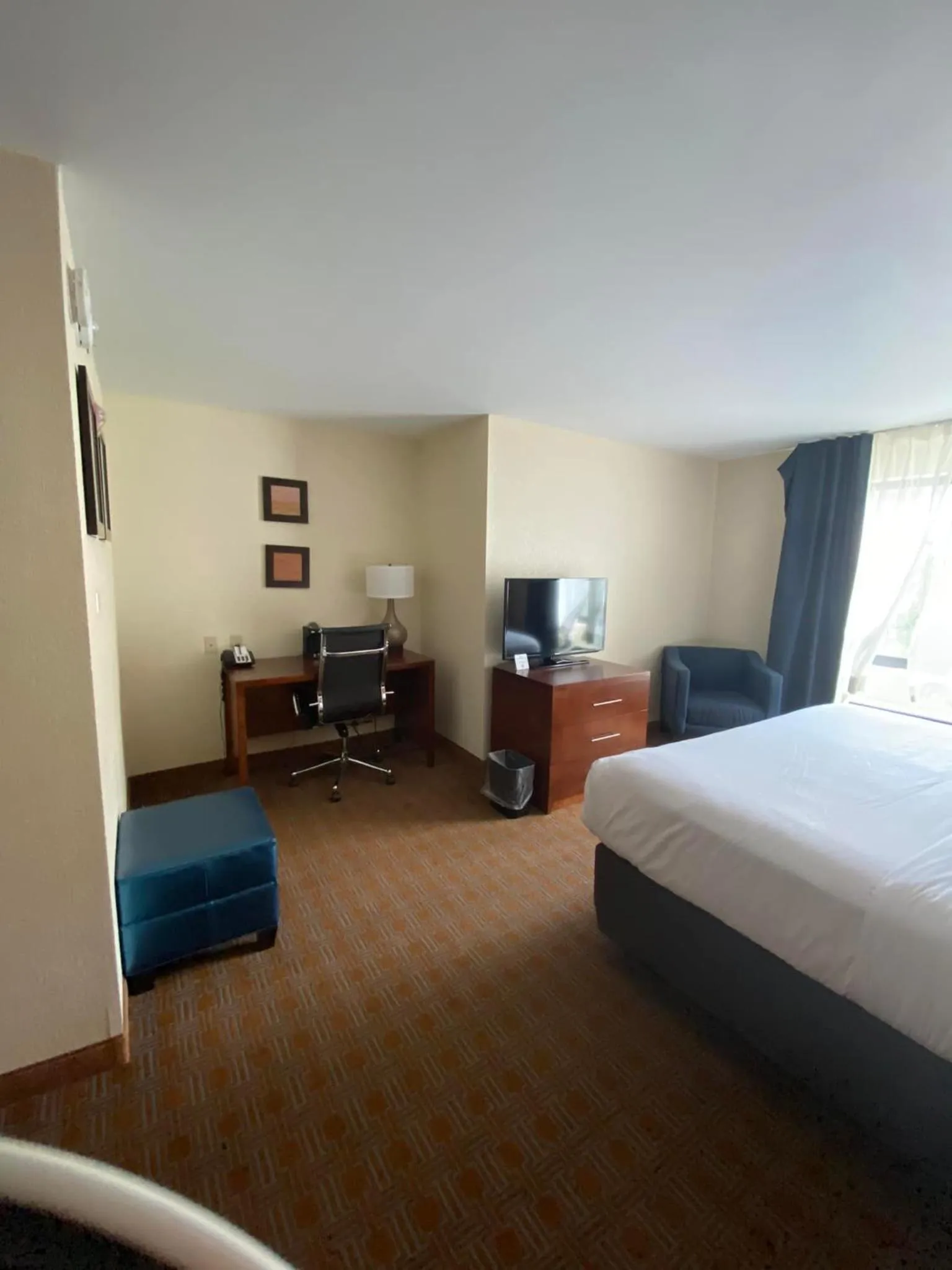 TV and multimedia, Bed in Comfort Inn & Suites Brattleboro I-91
