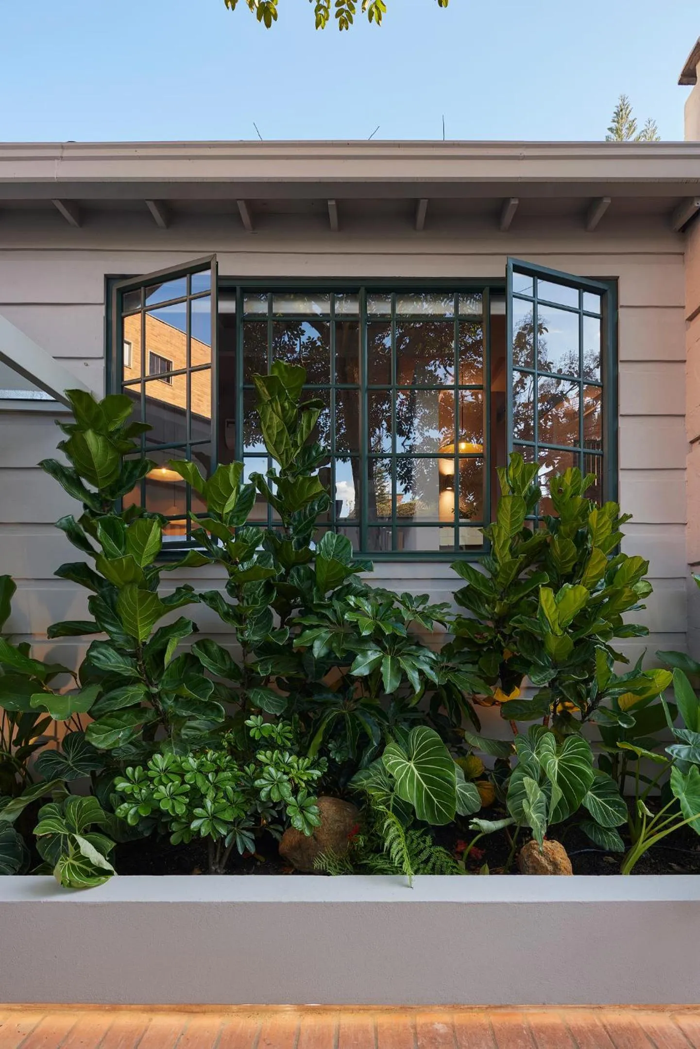 Garden in Antipoda Hotel Boutique