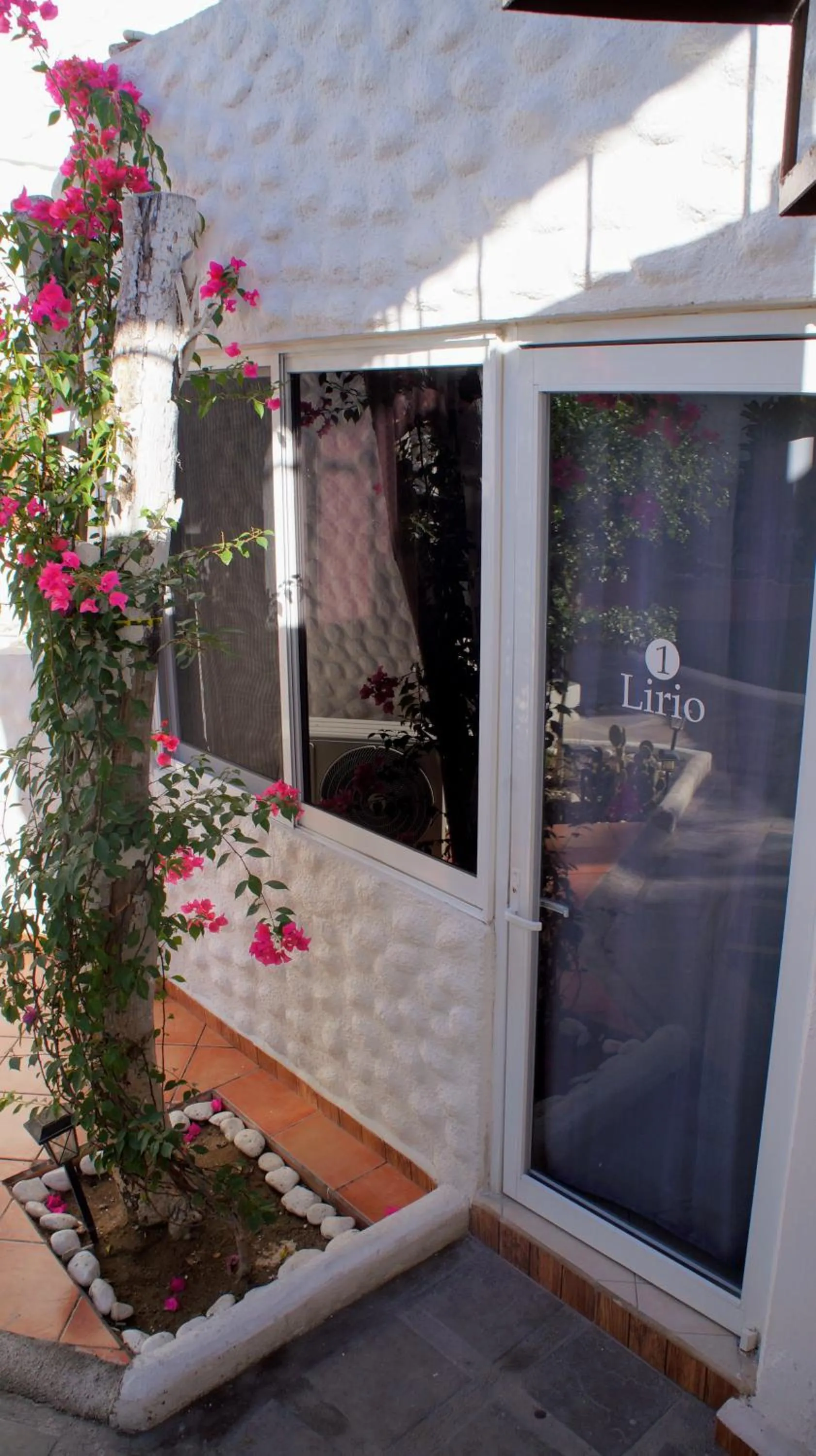 Property building in Hotel Allende